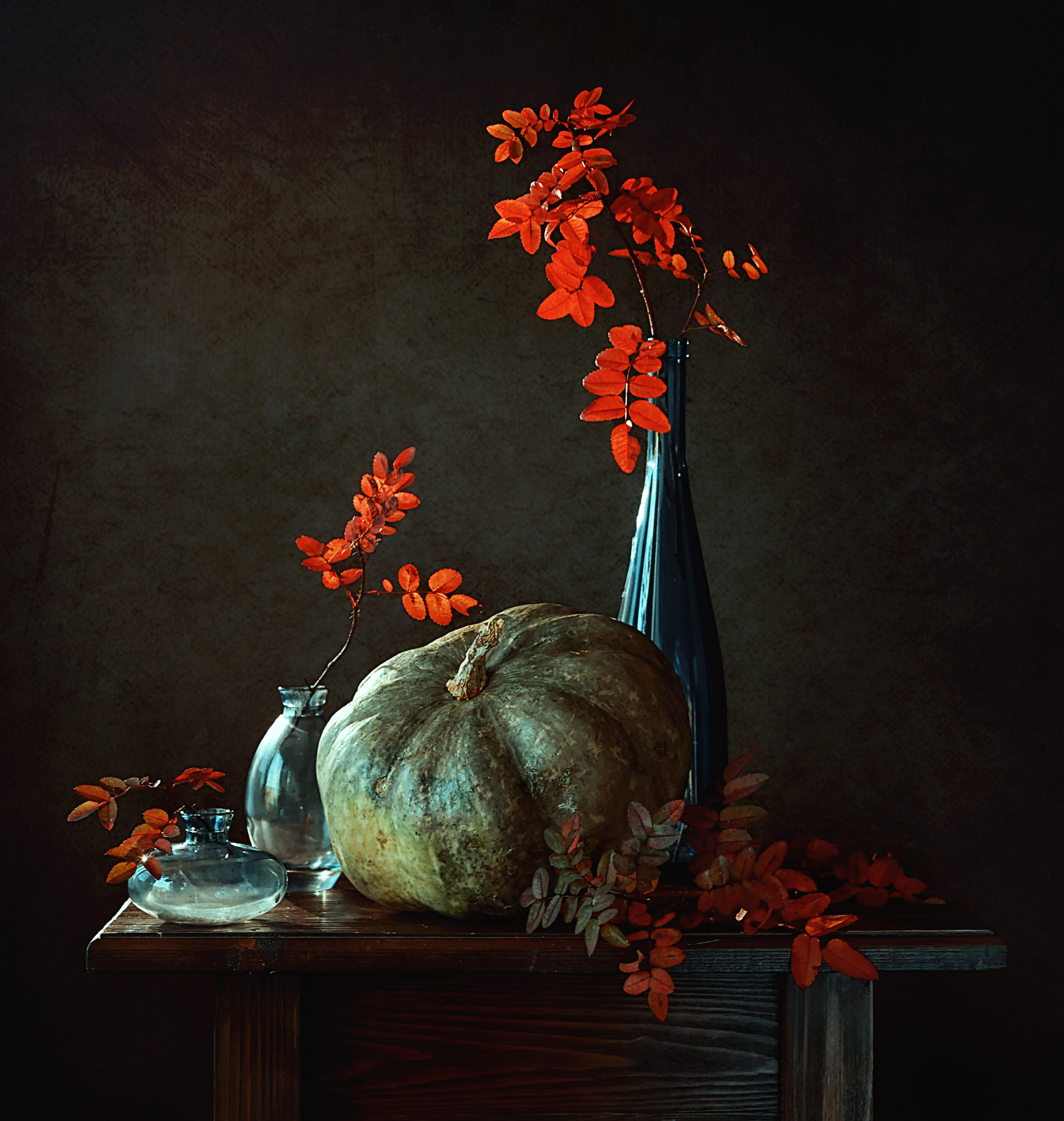 , Александрова Александра