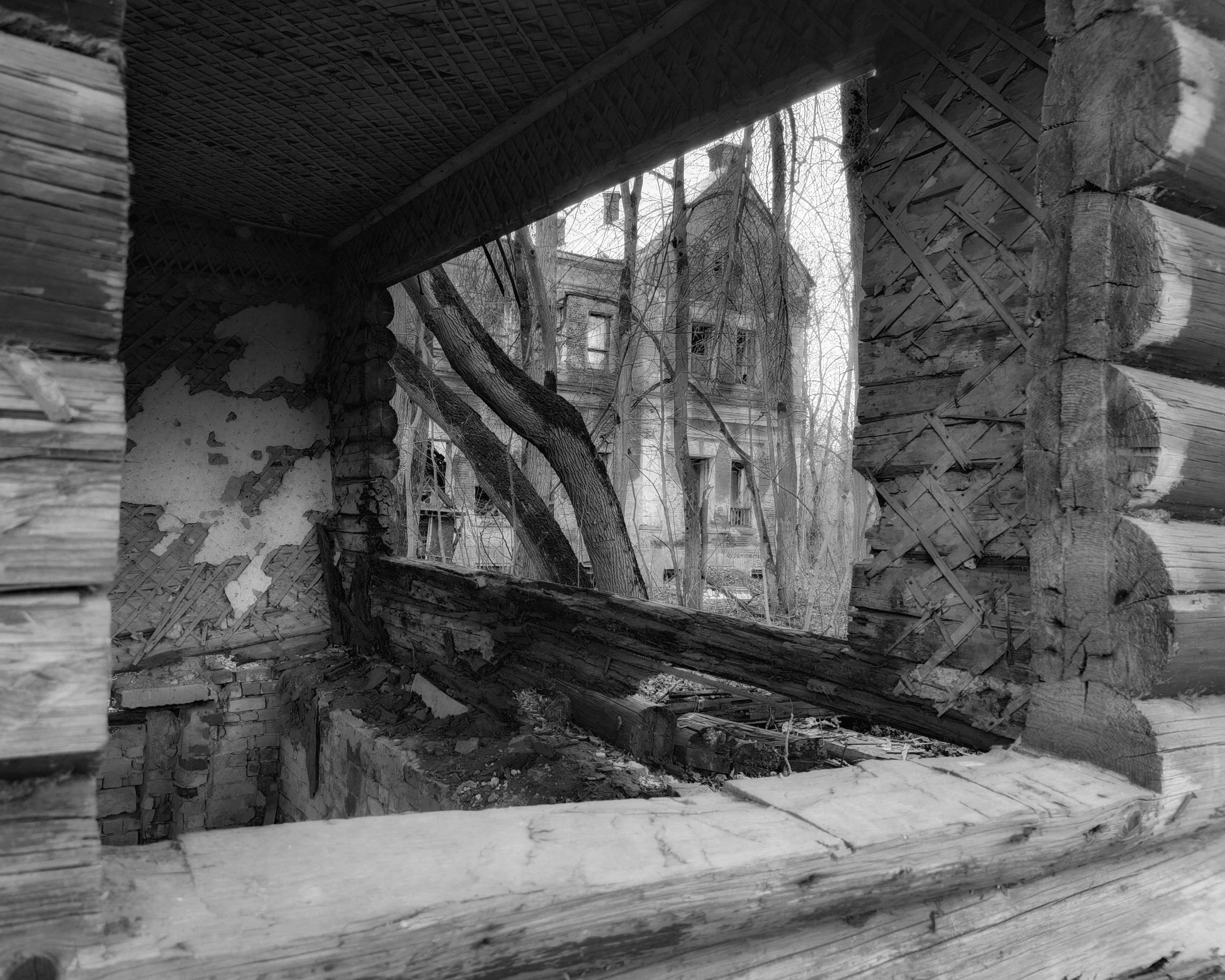 , Кондрашова Светлана