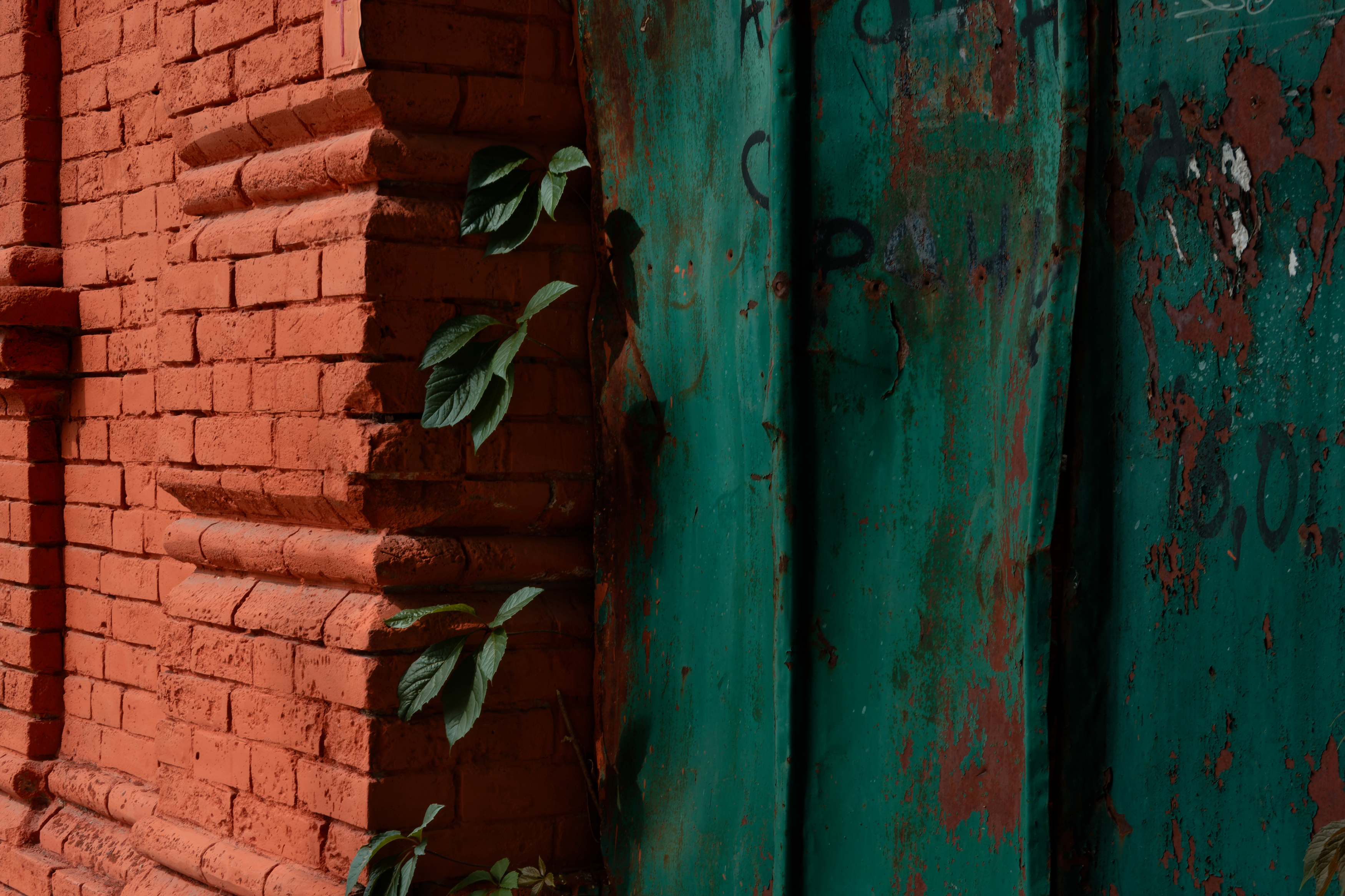 , Какоткин Роман