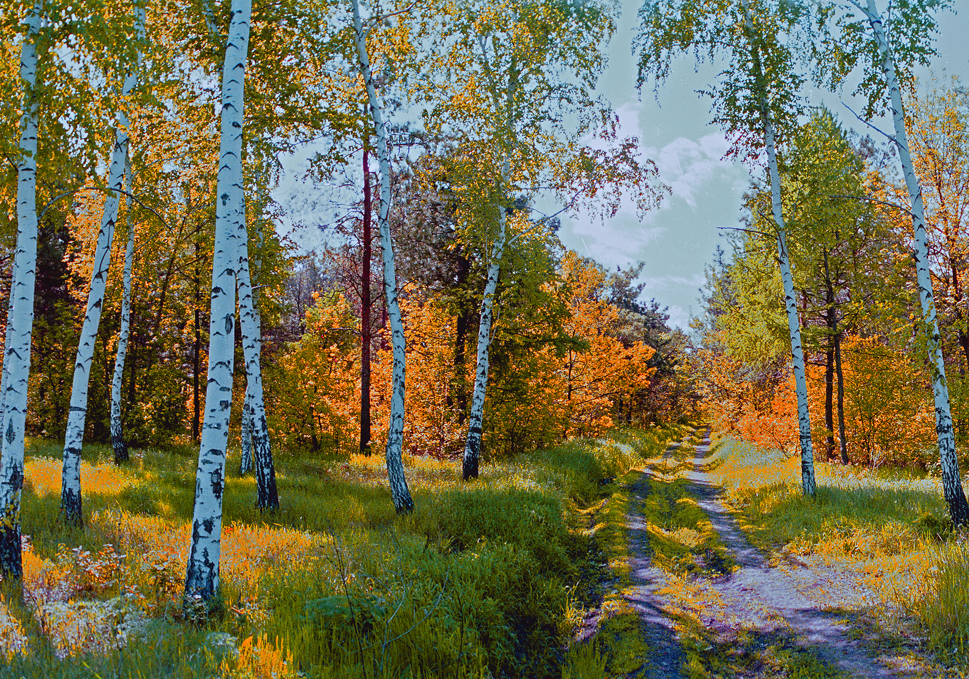 , Андрей Петросян