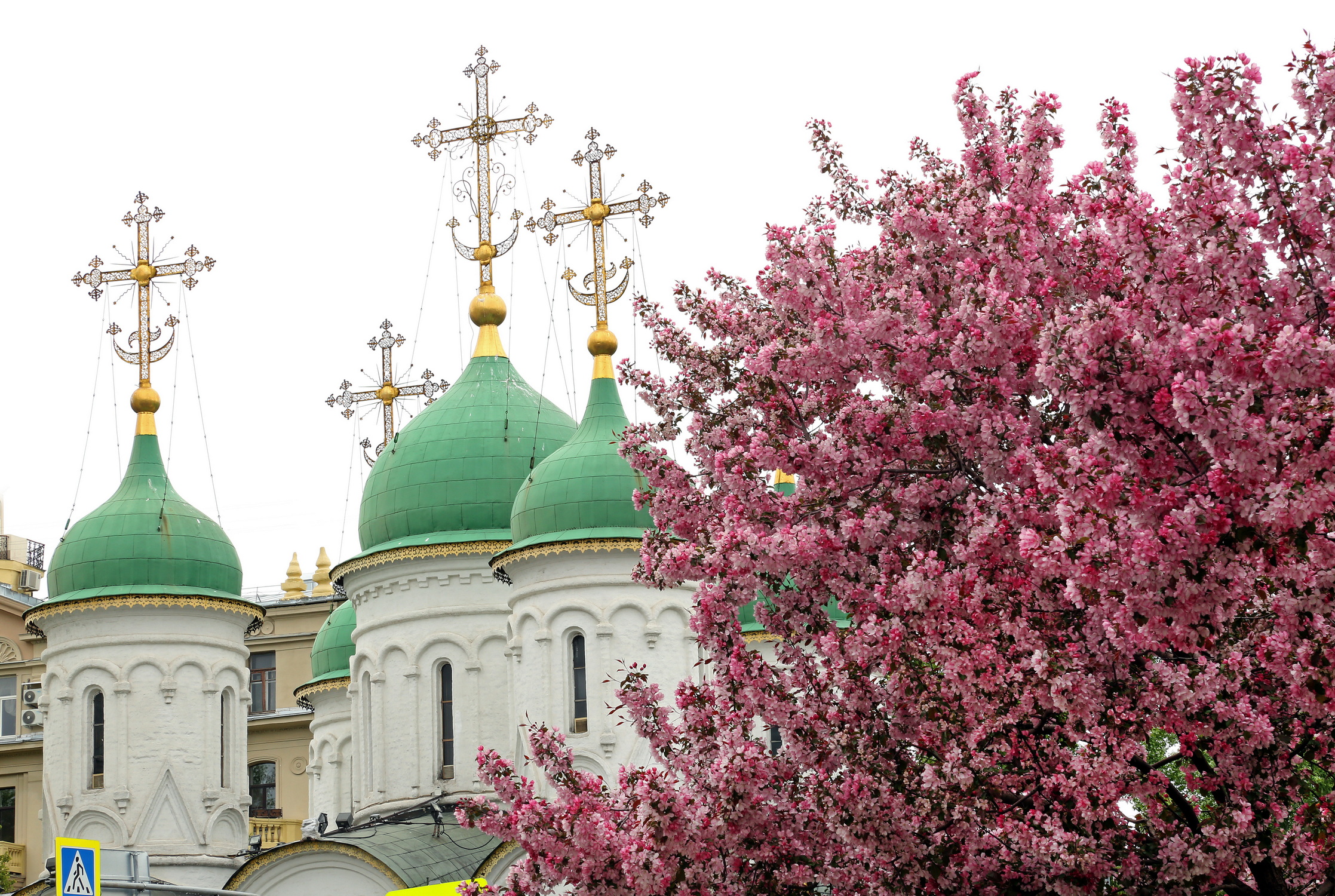 , Бибичков Михаил