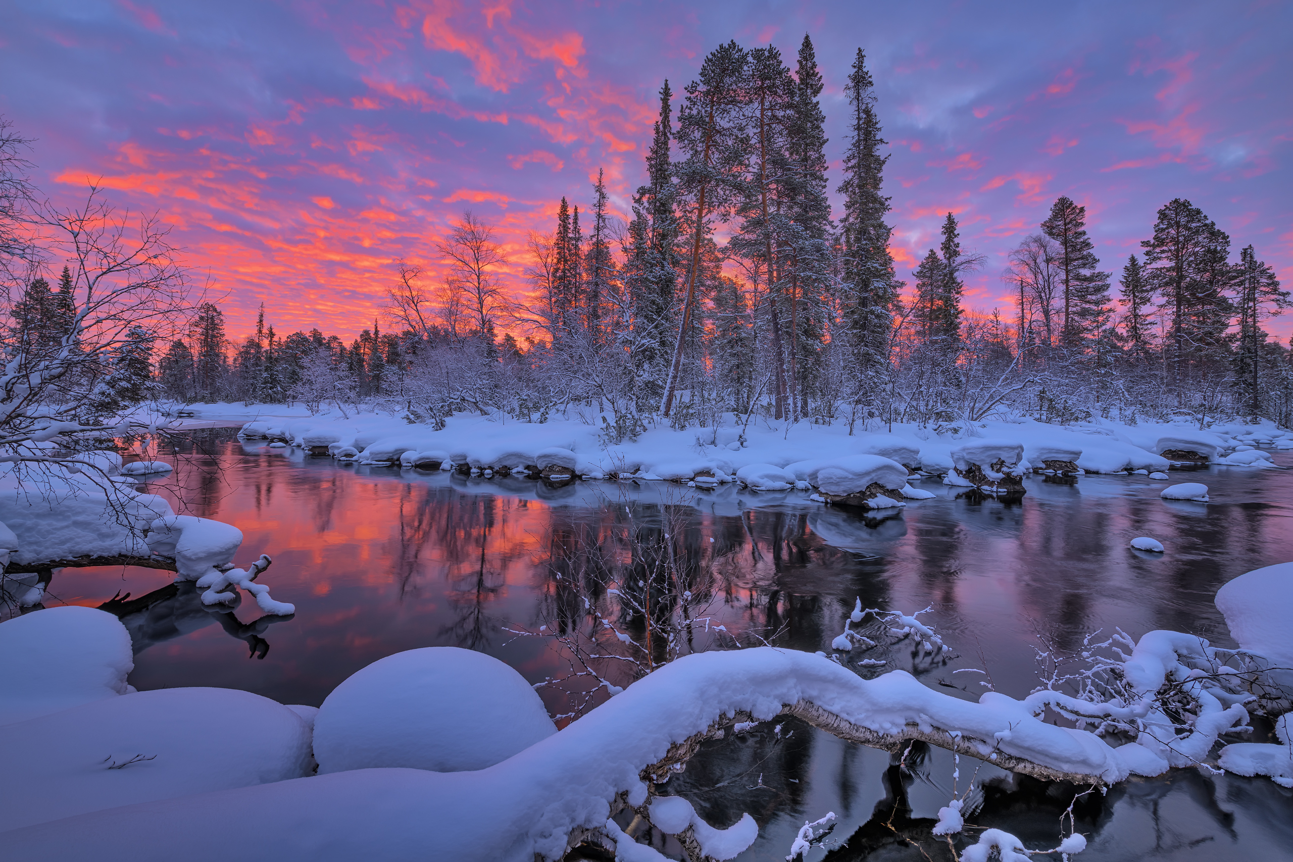 кольский, Евдокимов Максим