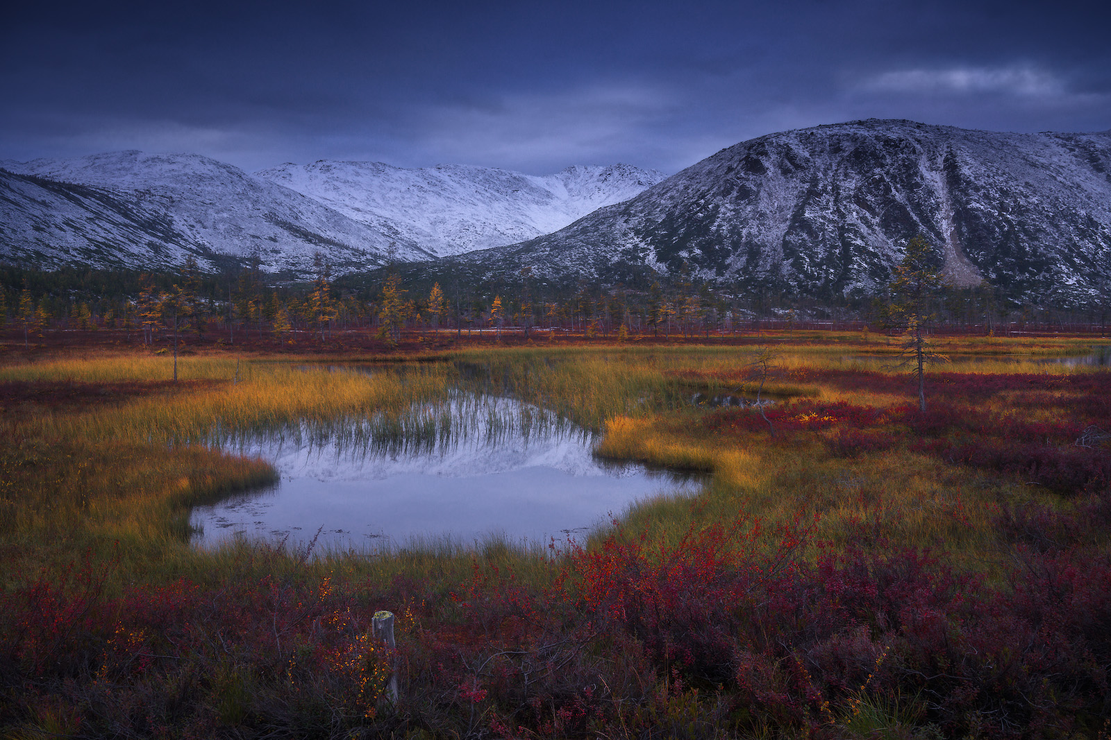 колыма, пурга, Владимир Ляпин