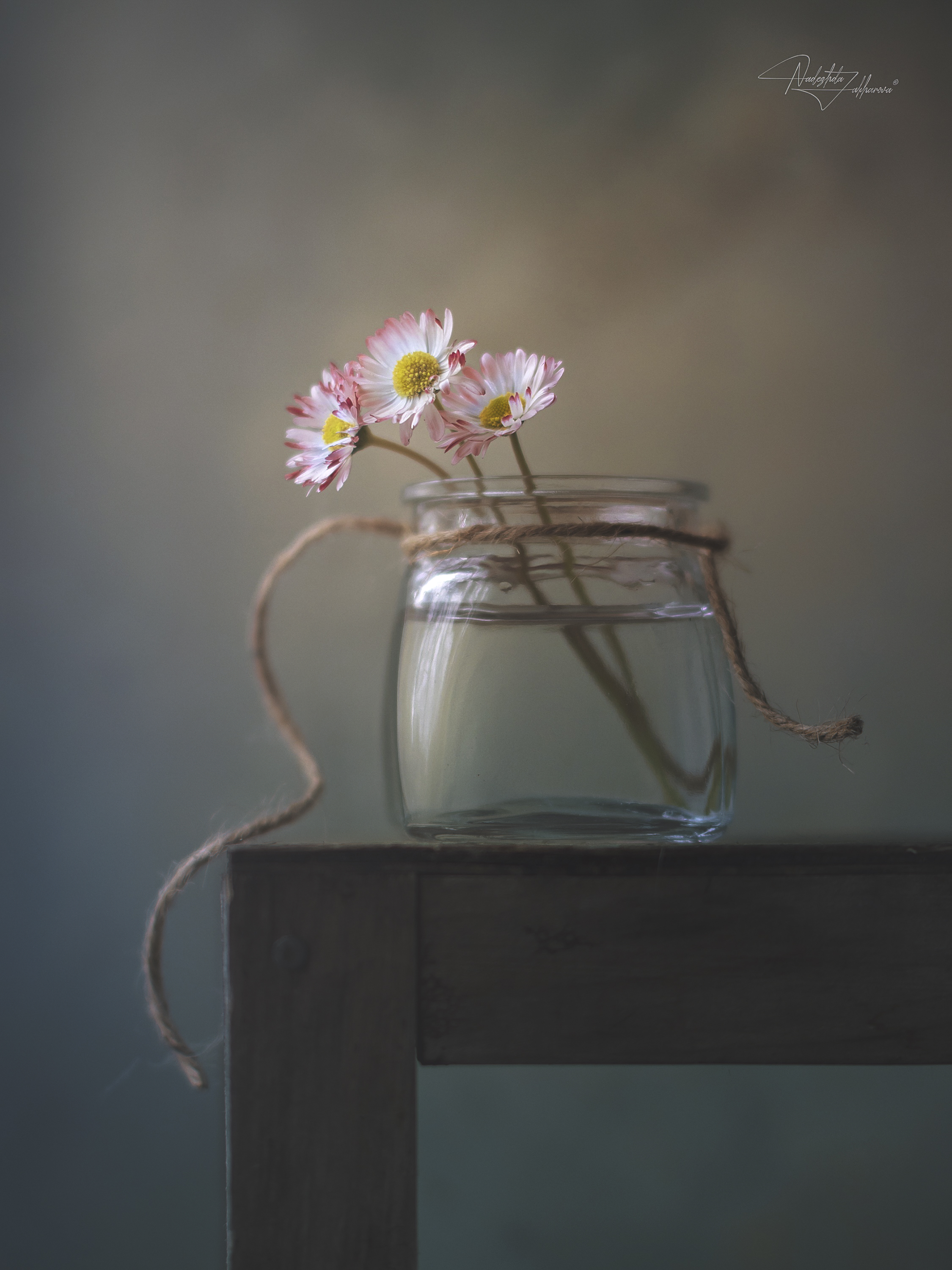 , Nadezhda Zakharova