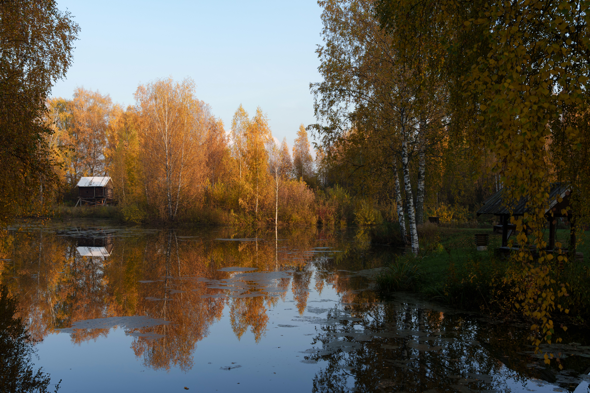 , Добродий Михаил