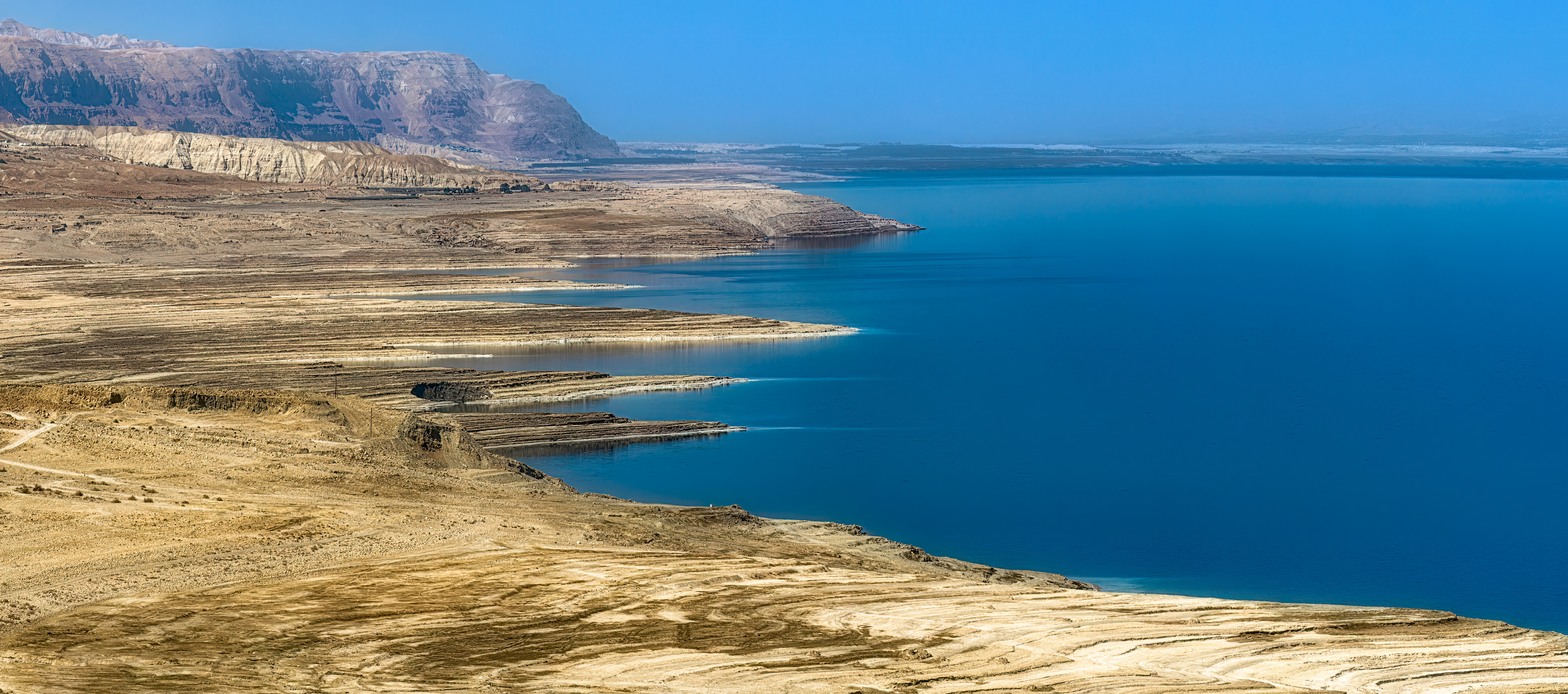 , Шварцман Евгений