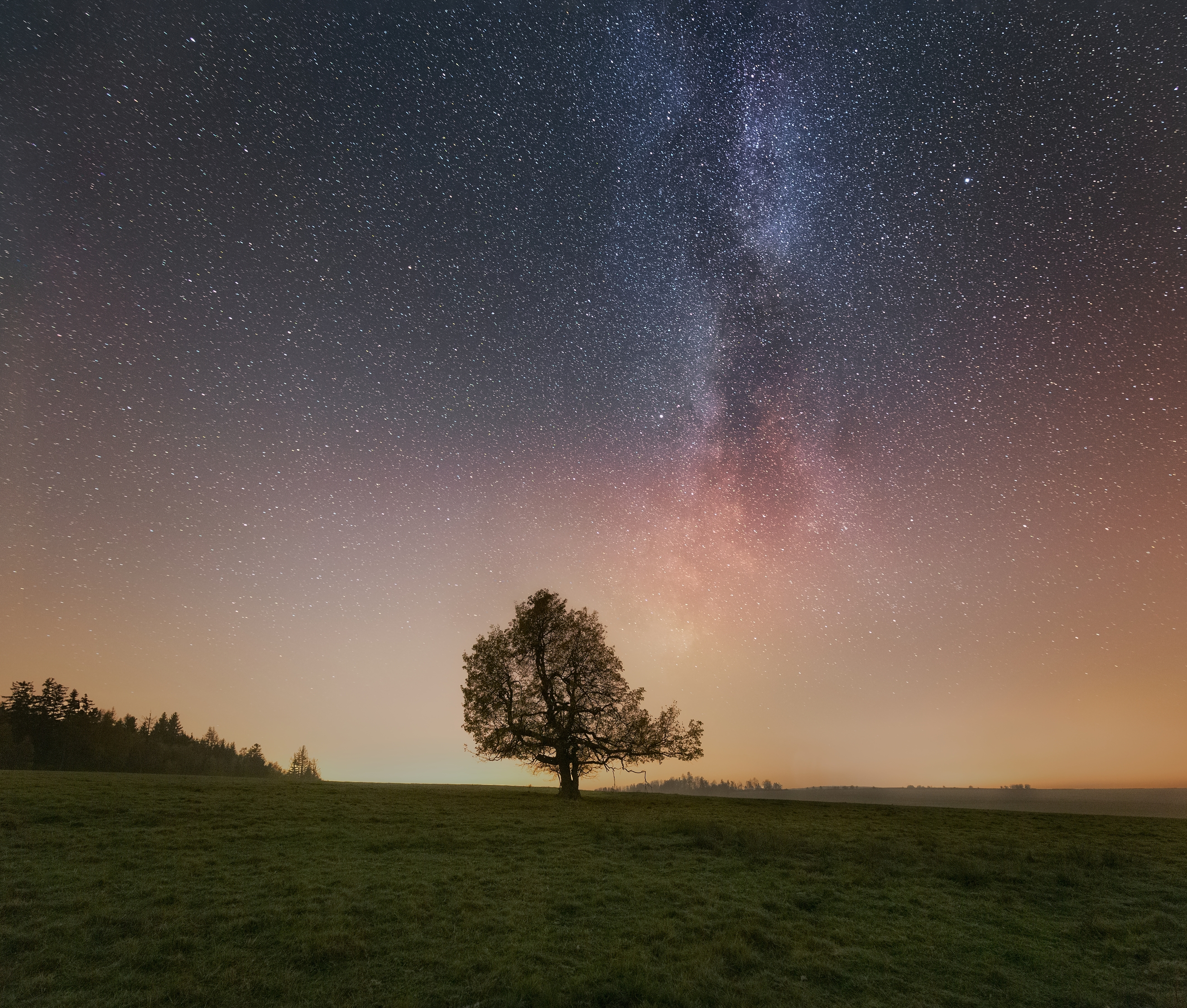 landscape, night, stars, solitair, tree, Petr Fiala