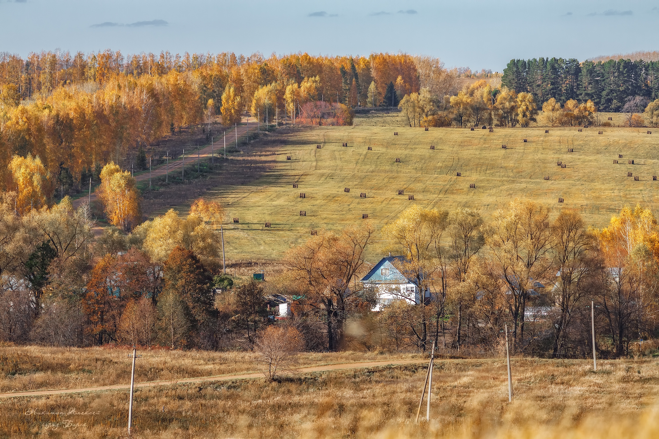 , Никитин Алексей