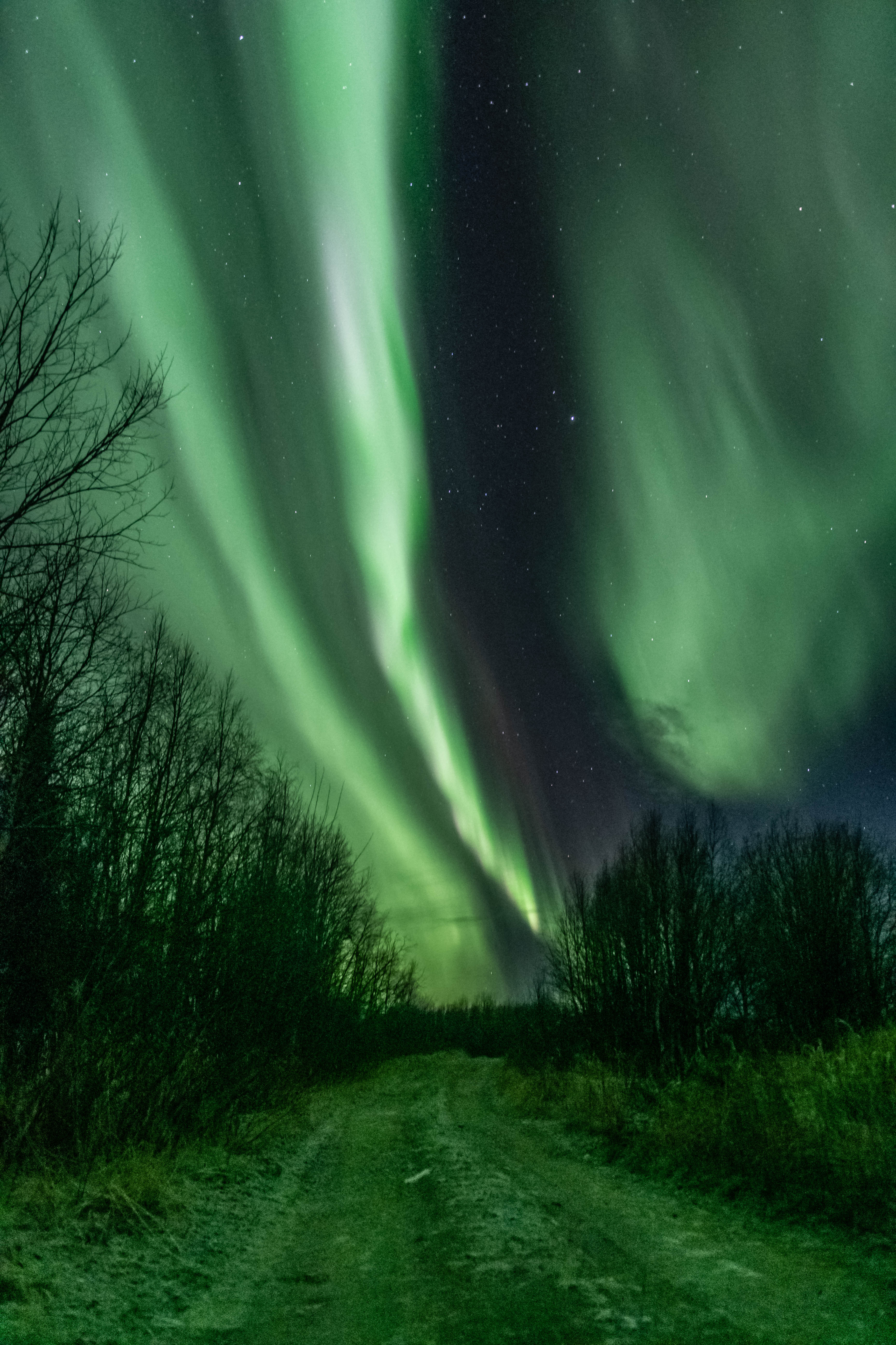 , Сергей Каверин