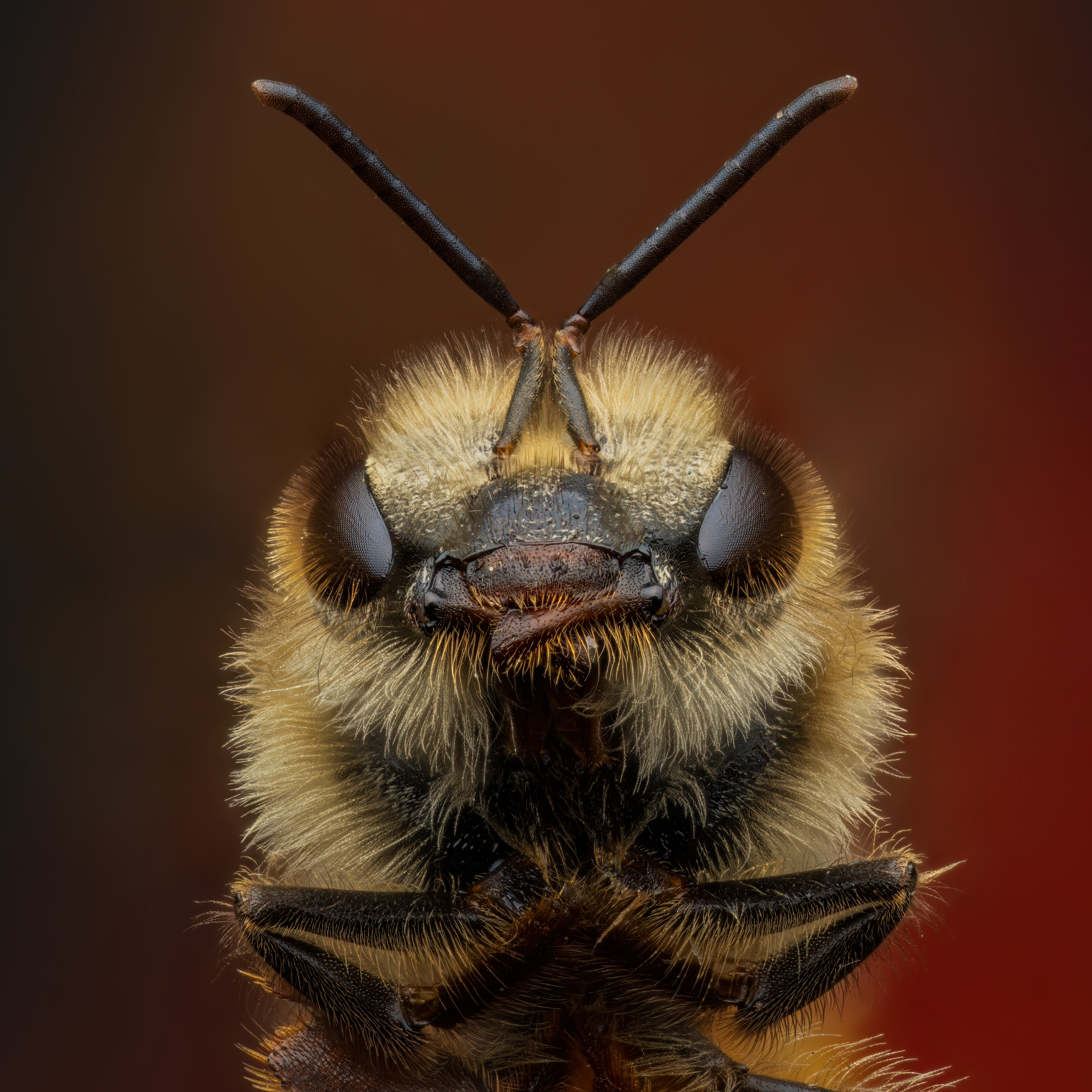 , Фруман Евгений