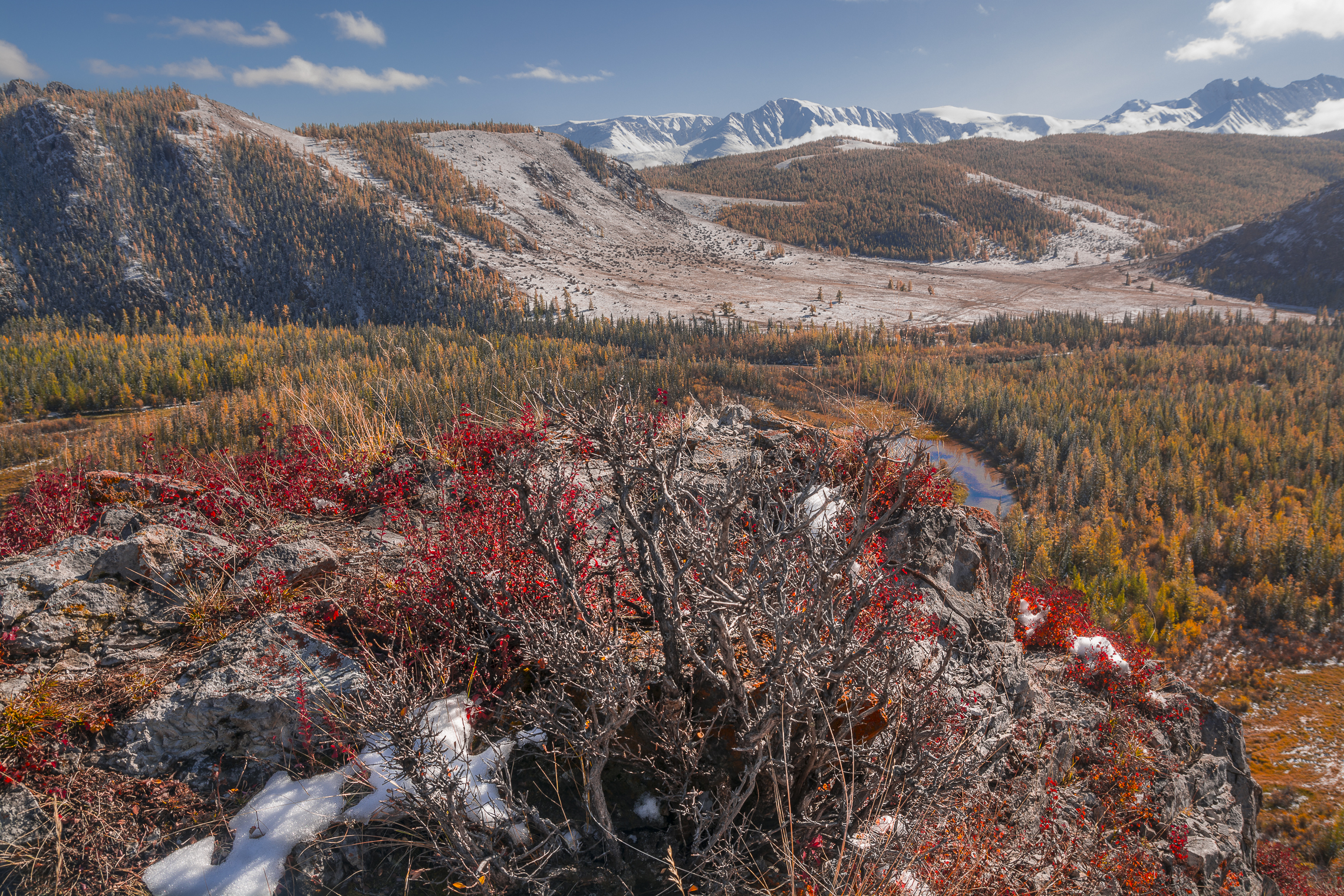 россия, горный алтай,осень, Андрей Поляков