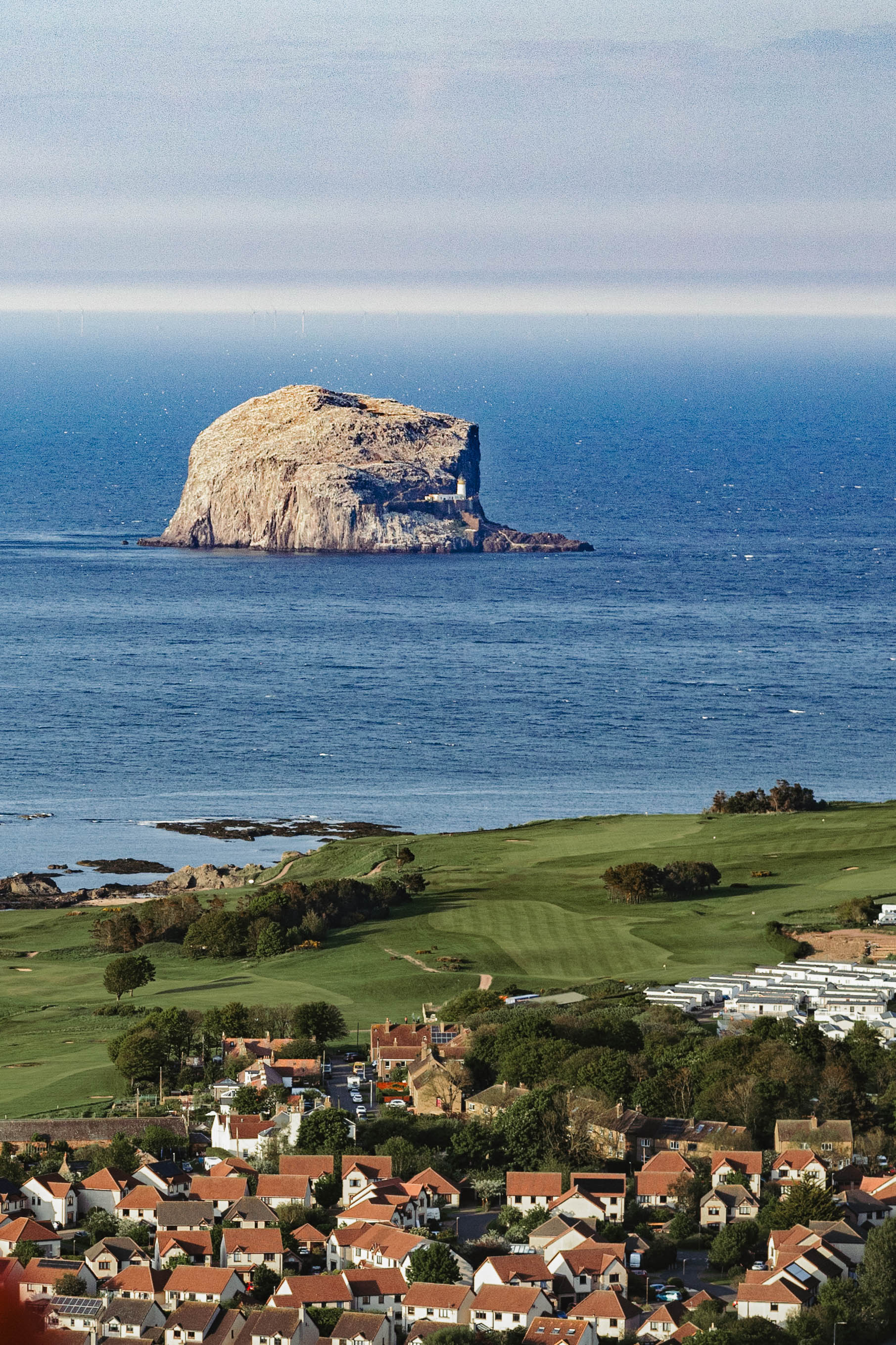 , Алина Шаховская-Константинова