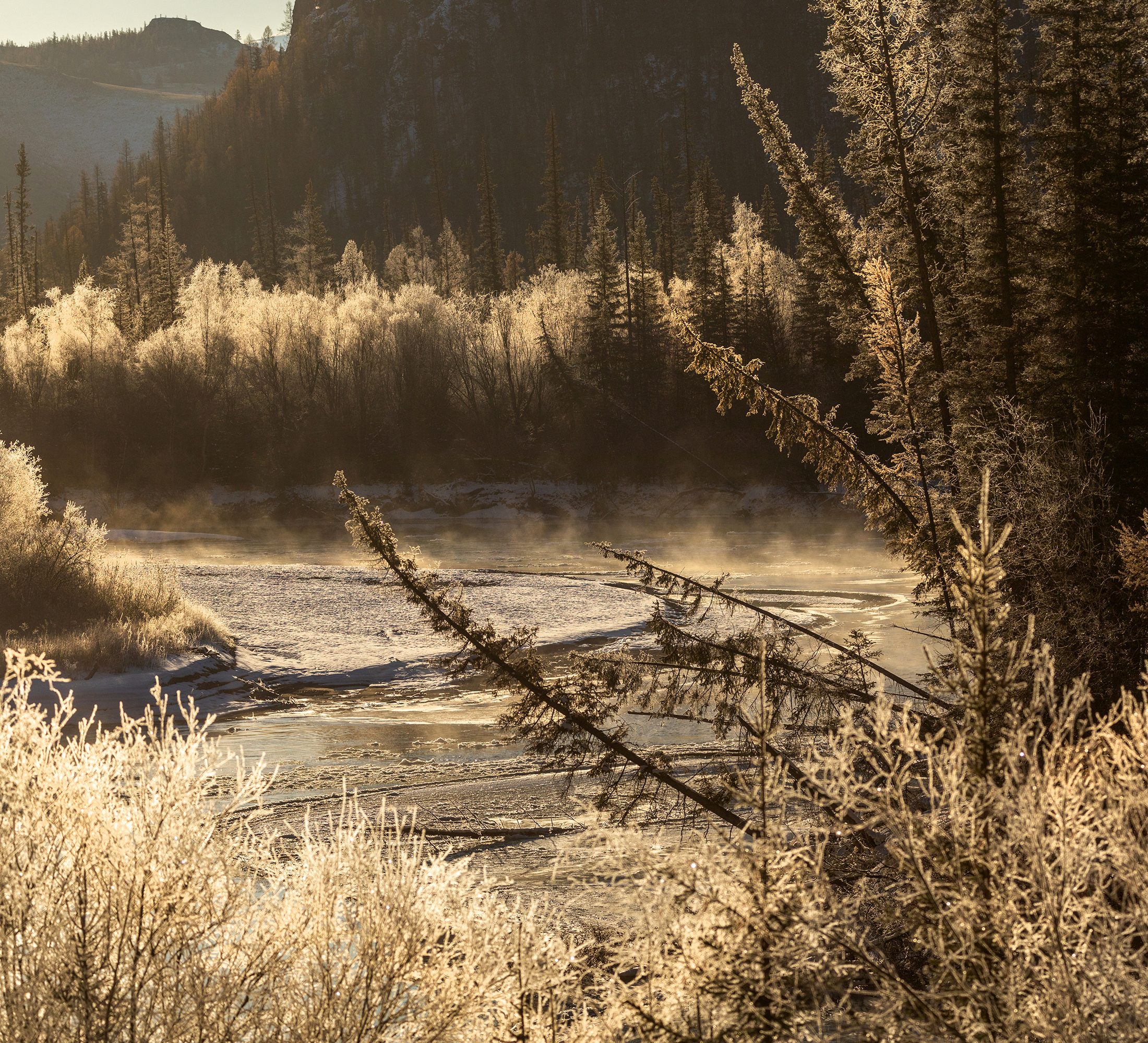 алтай, природа, осень, чуя, мороз, Павел Ващенков