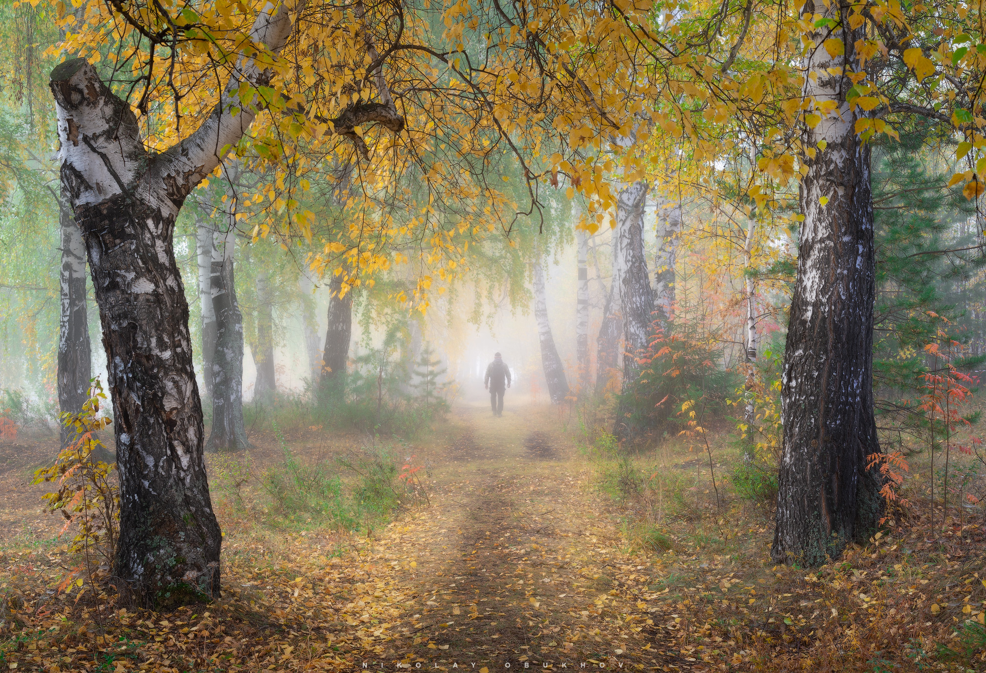 , Обухов Николай