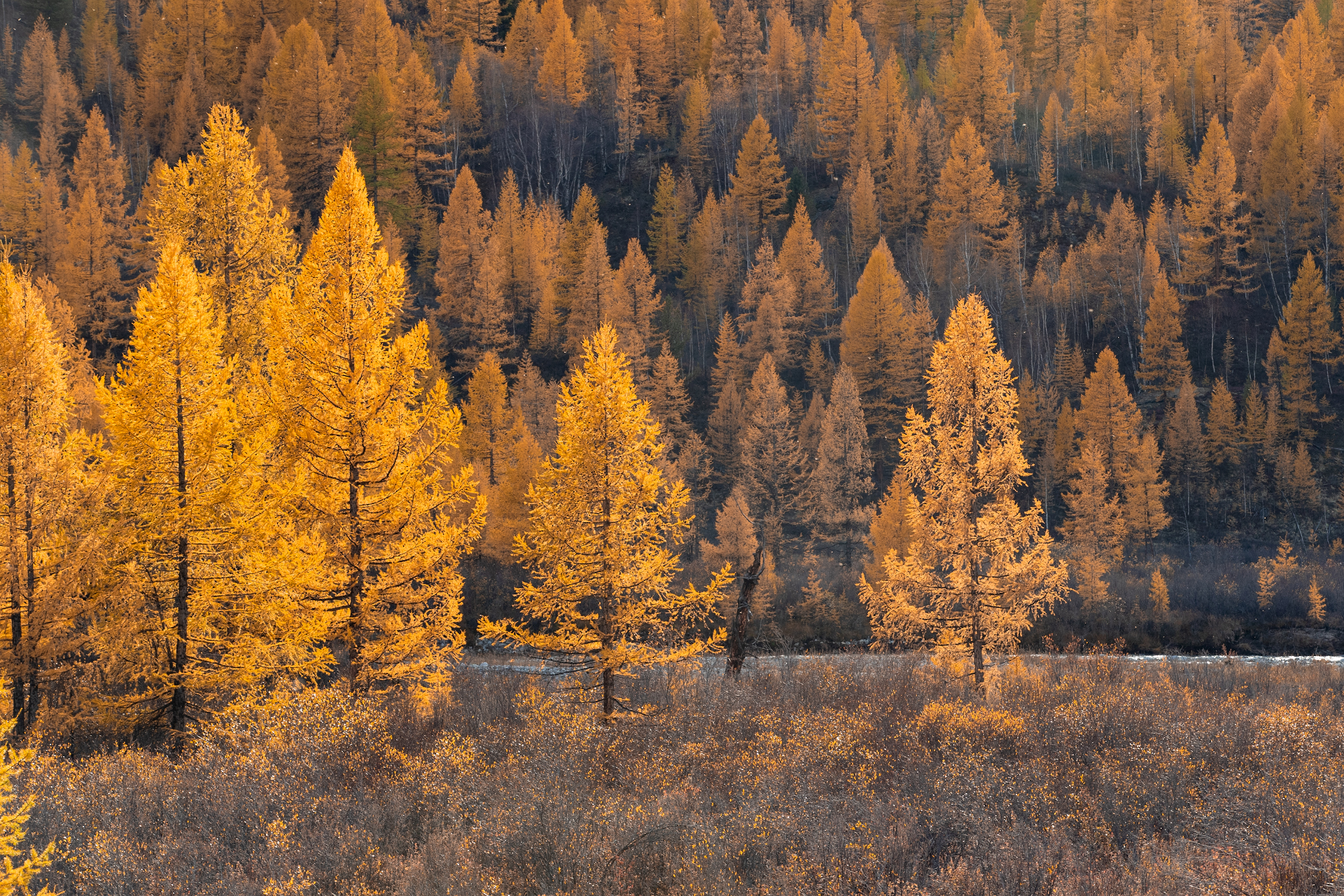 , Буянов Илья