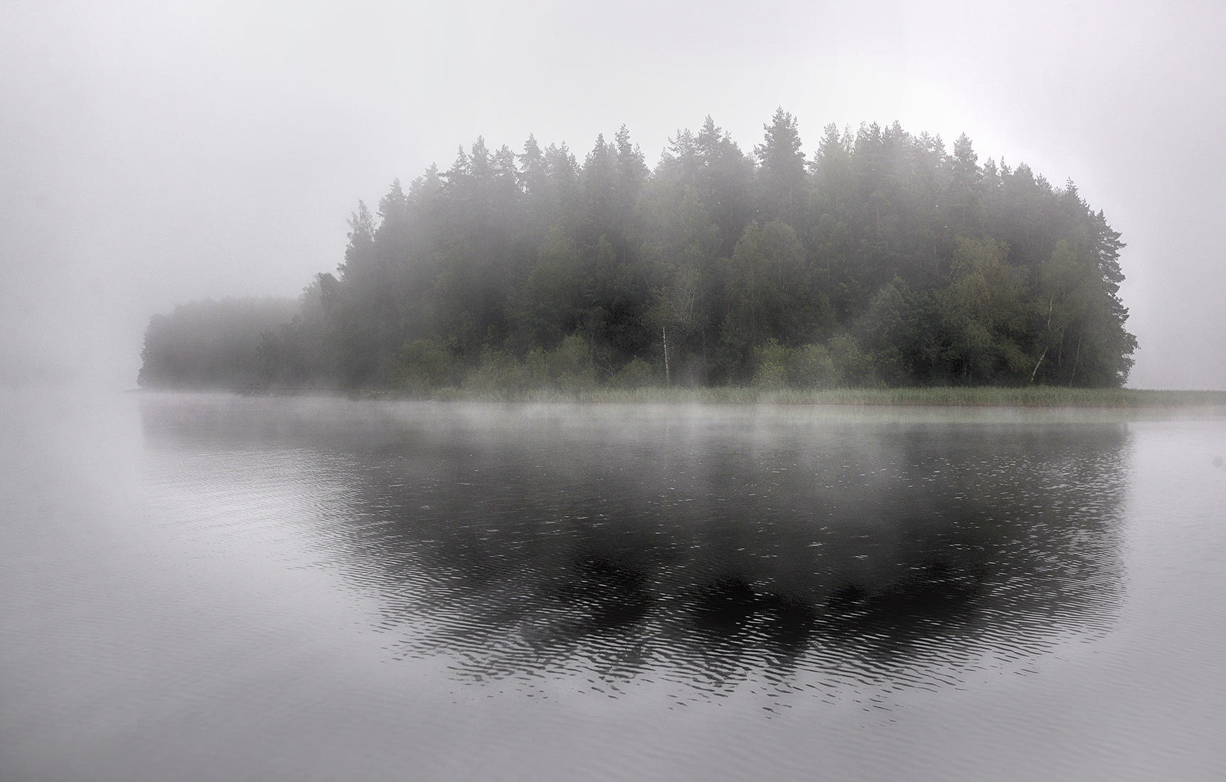 , Сергей Аникин