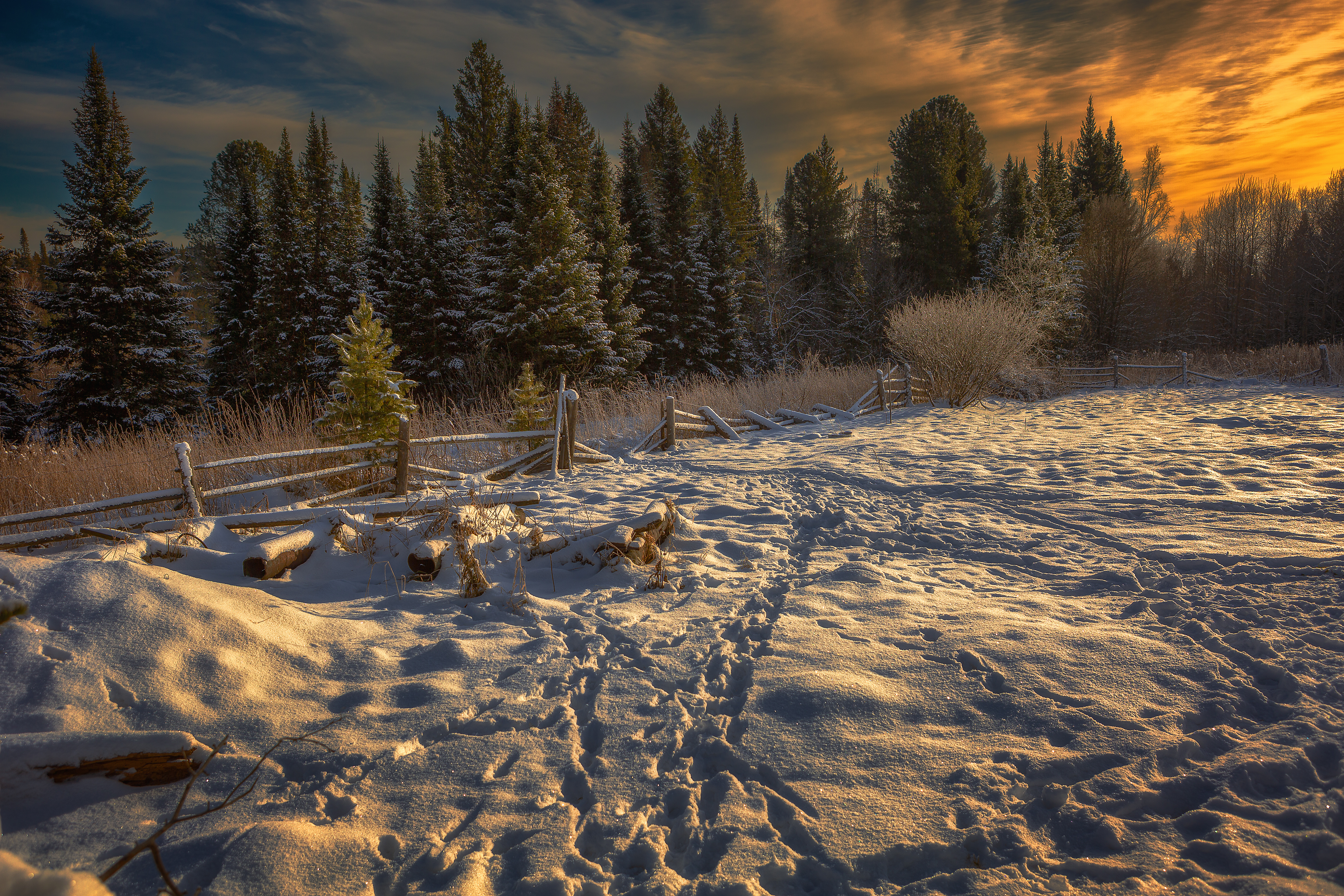 , Холудеев Виктор