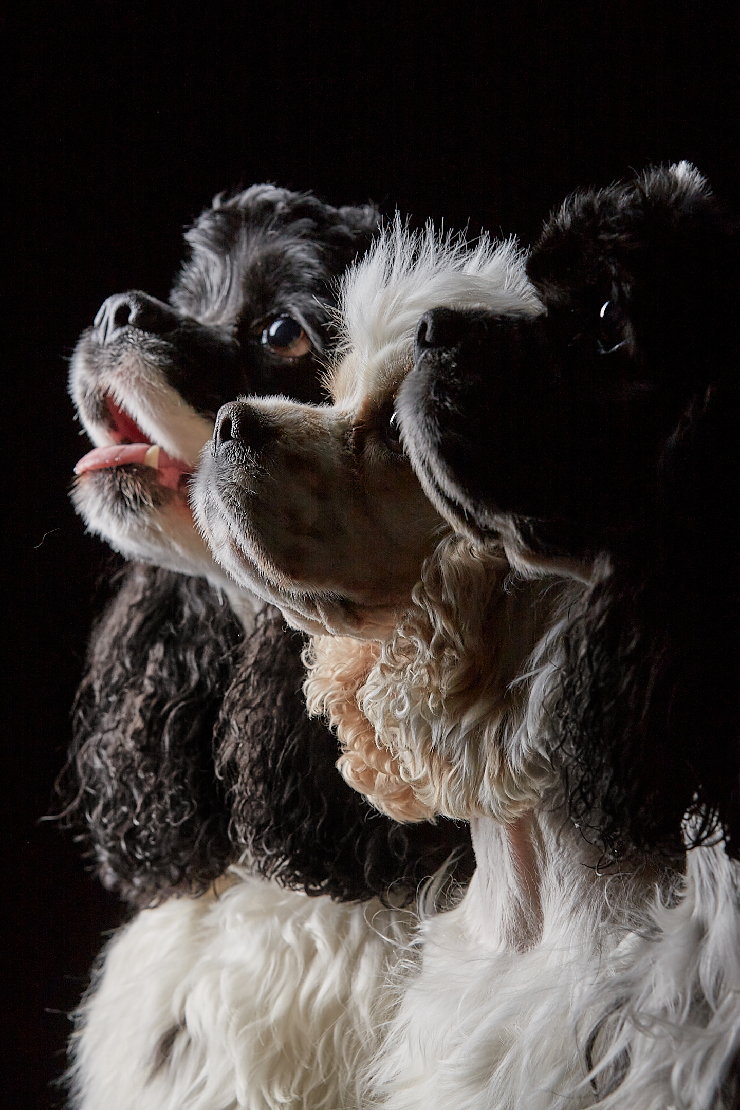 , Вадим Михейкин