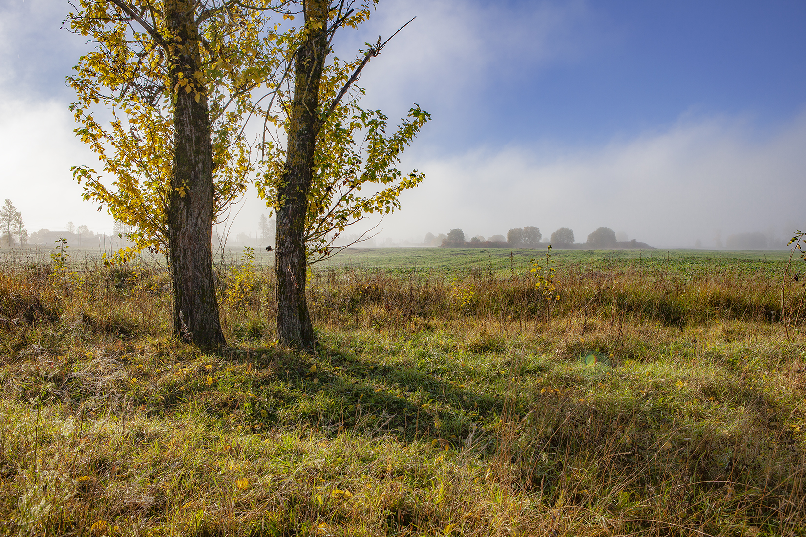 , Aleksandr Mihailov