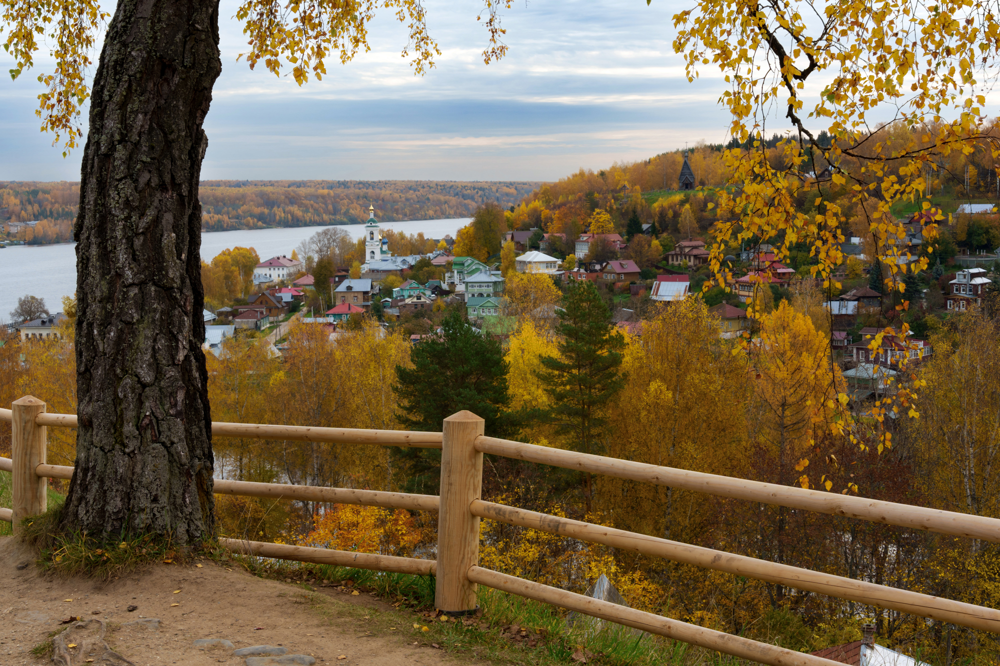 , Добродий Михаил