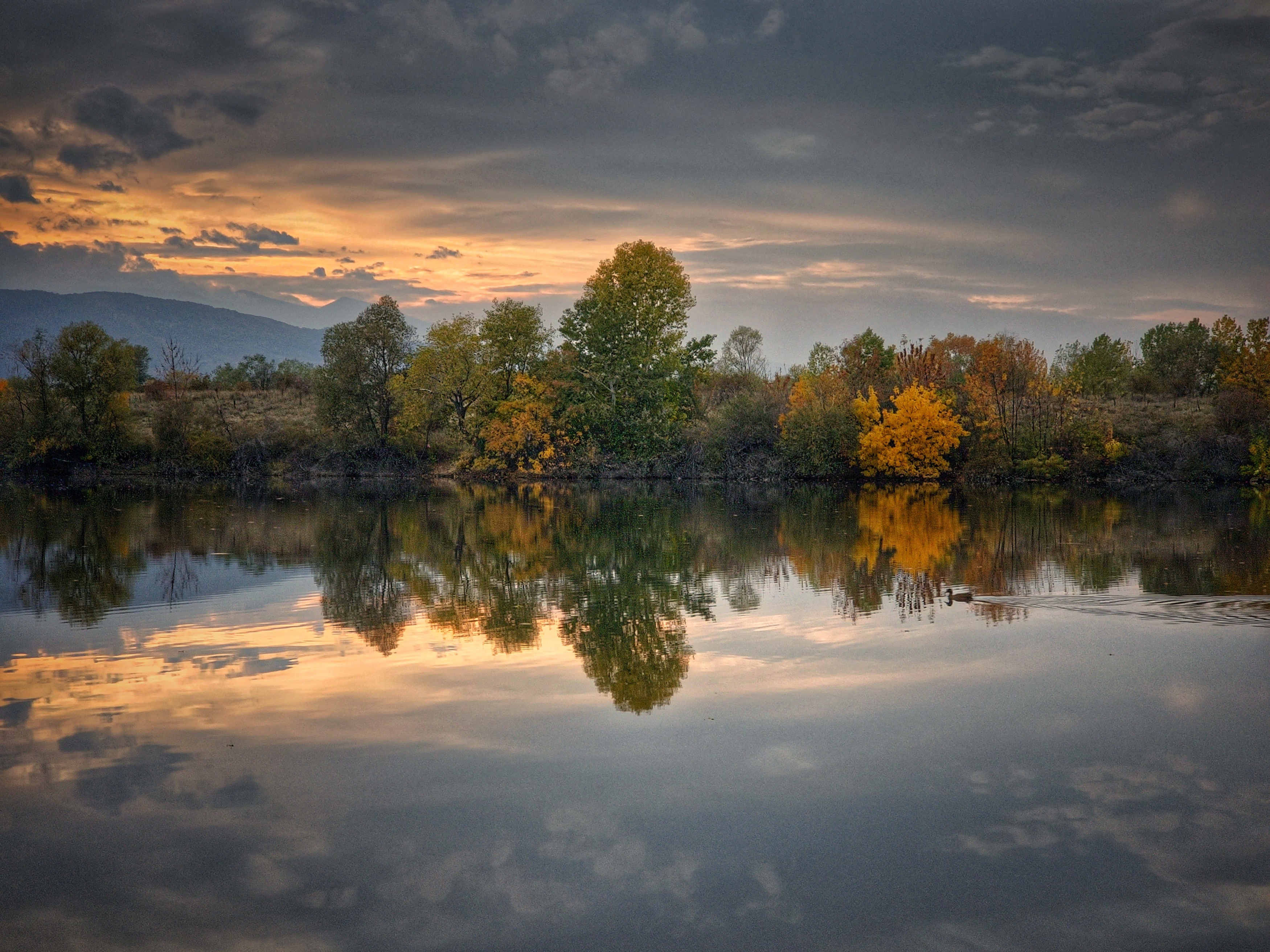 , Герчев Николай