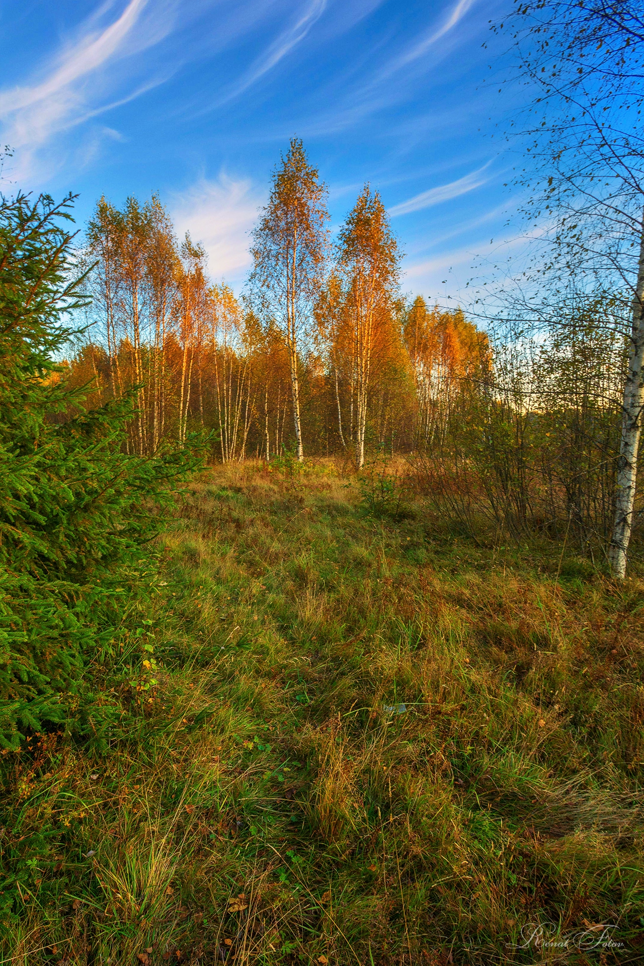 , Фотов Ренат