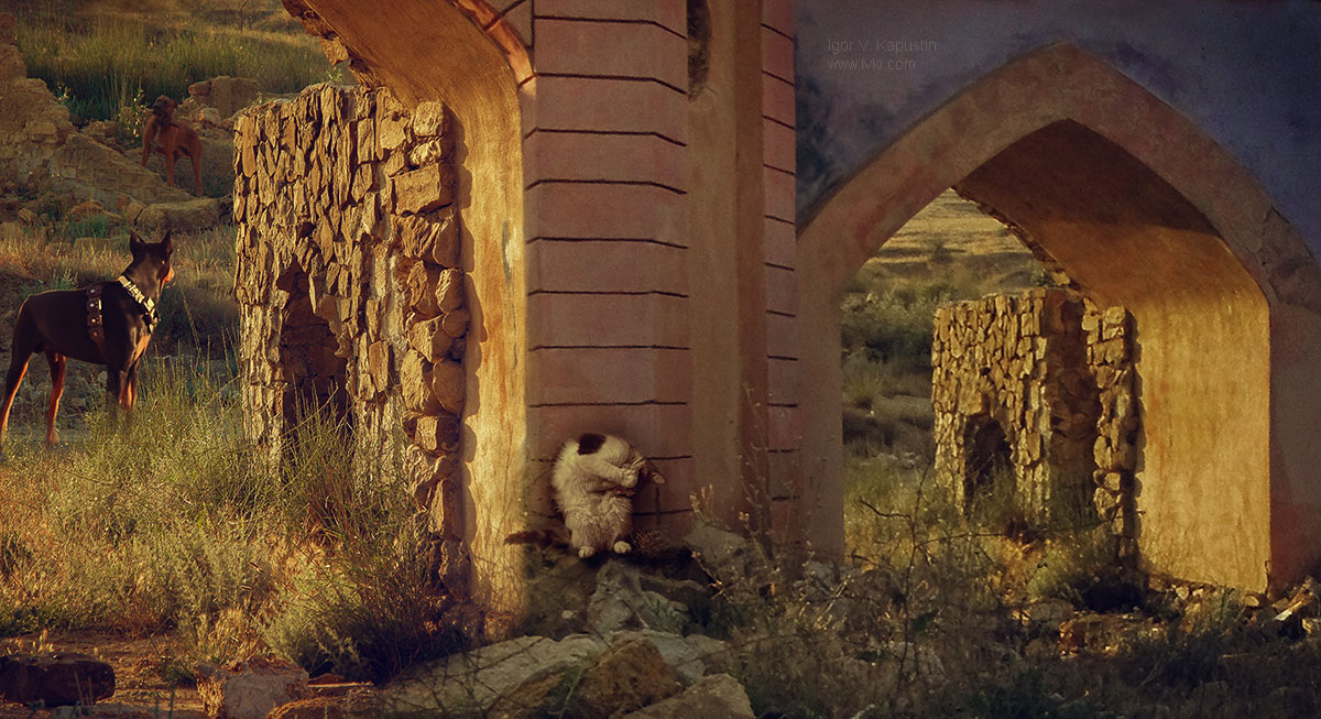 , Капустин Игорь