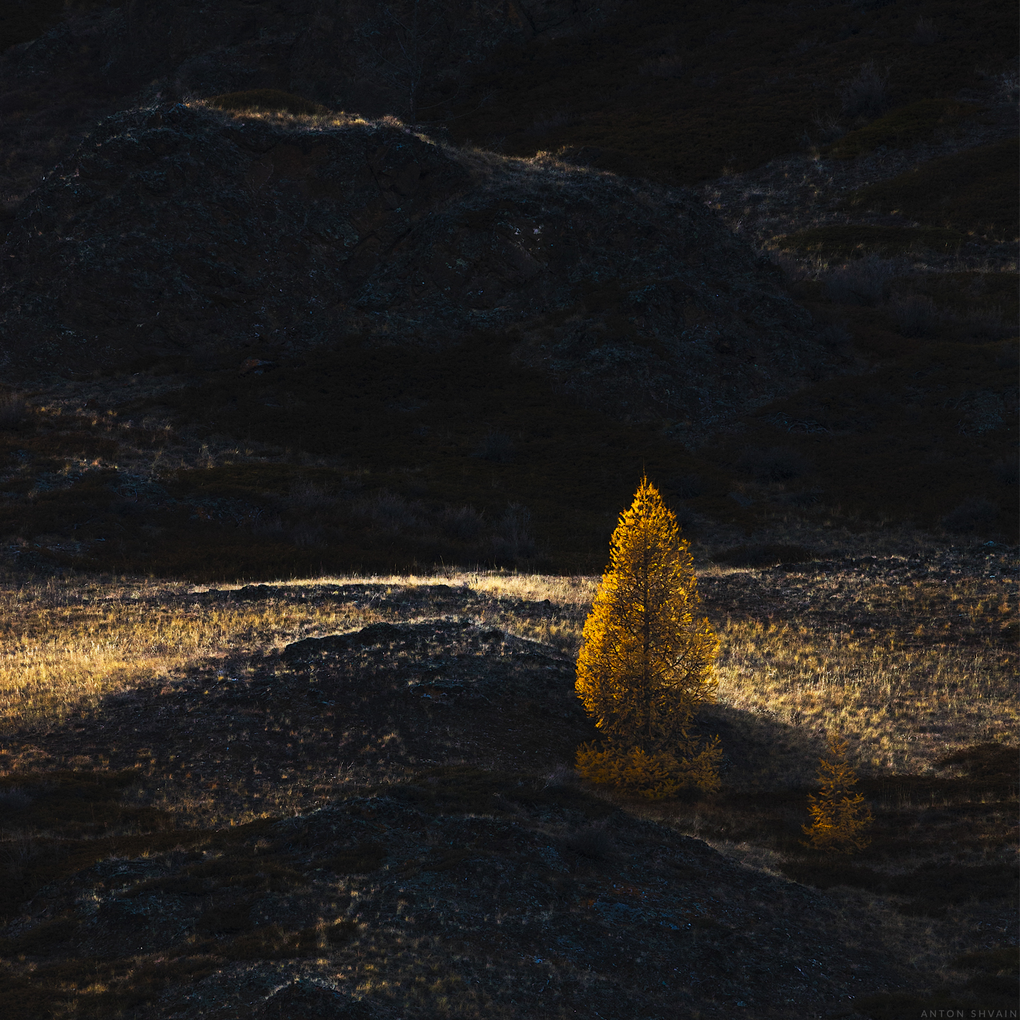 , Антон Шваин