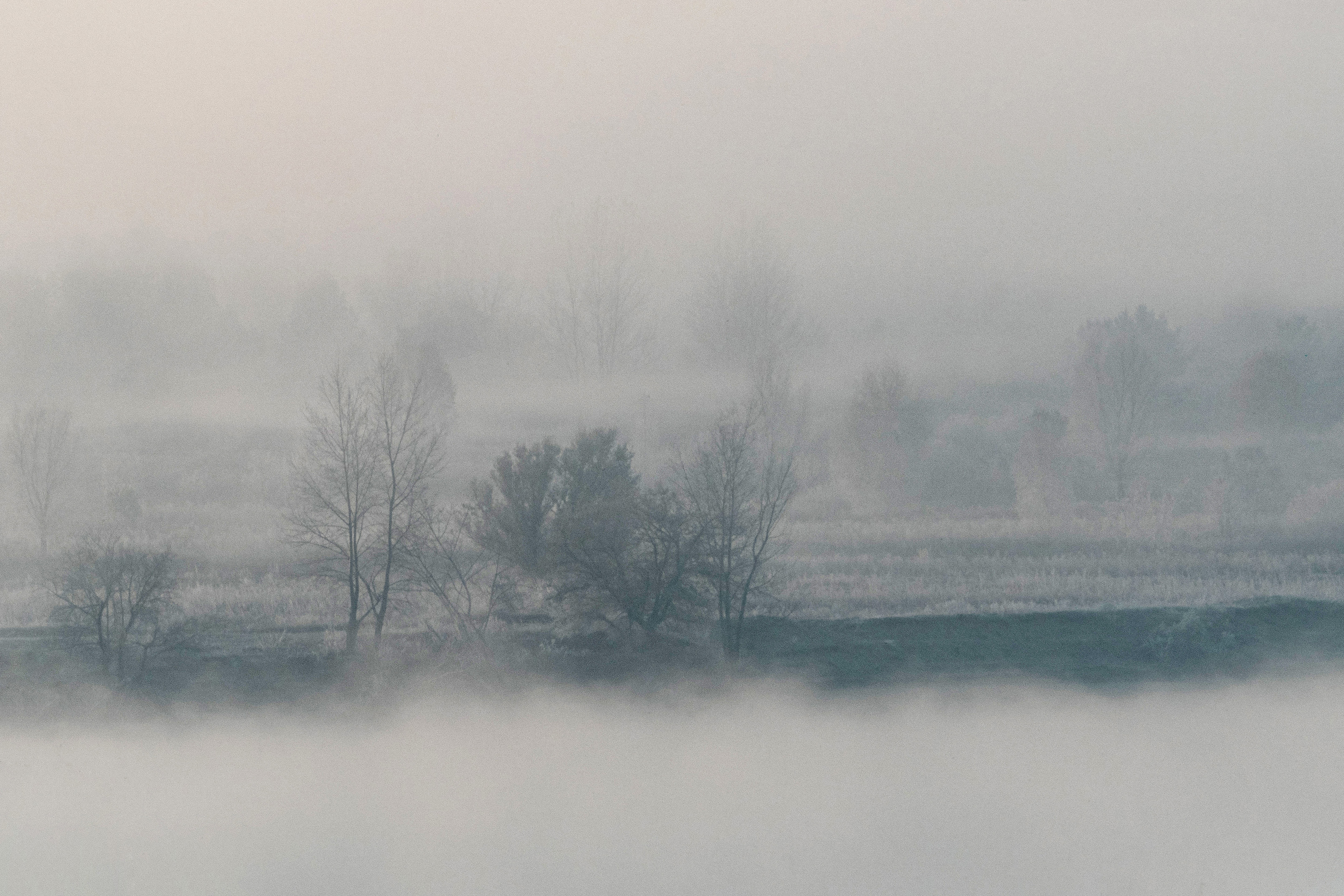 , Станислав