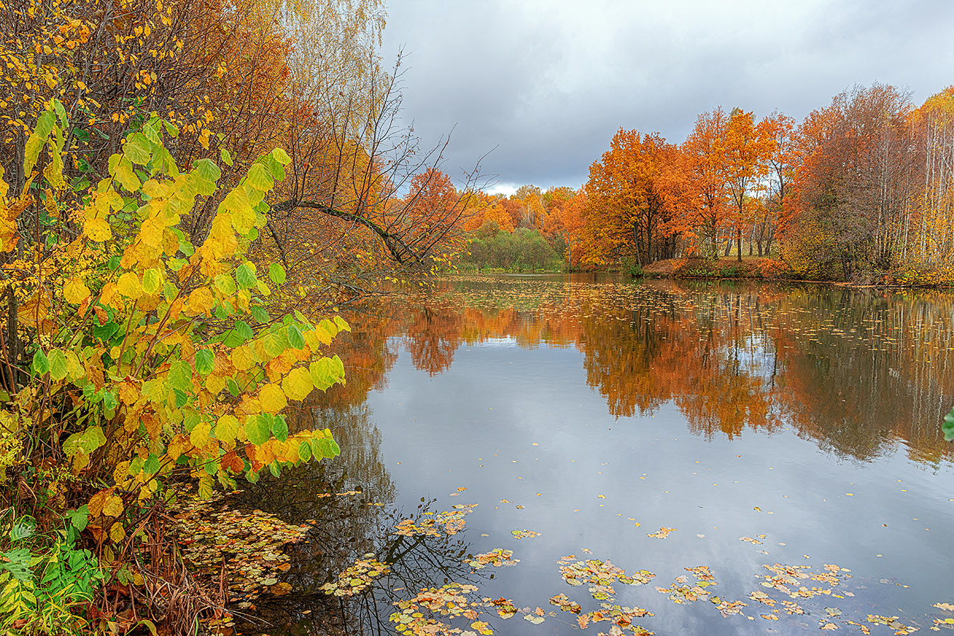 , Анатолий Зверев