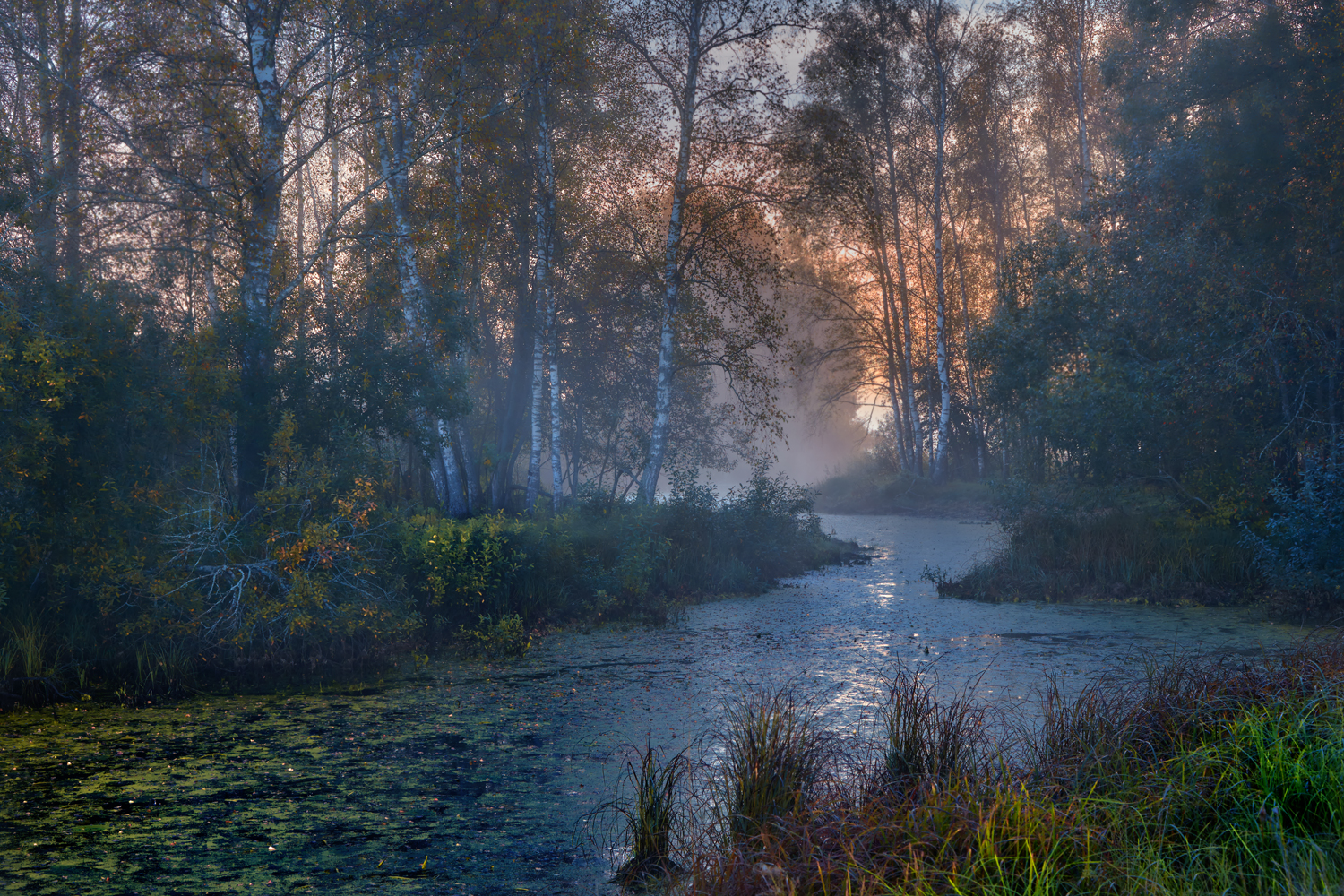 , Роман Лушпа