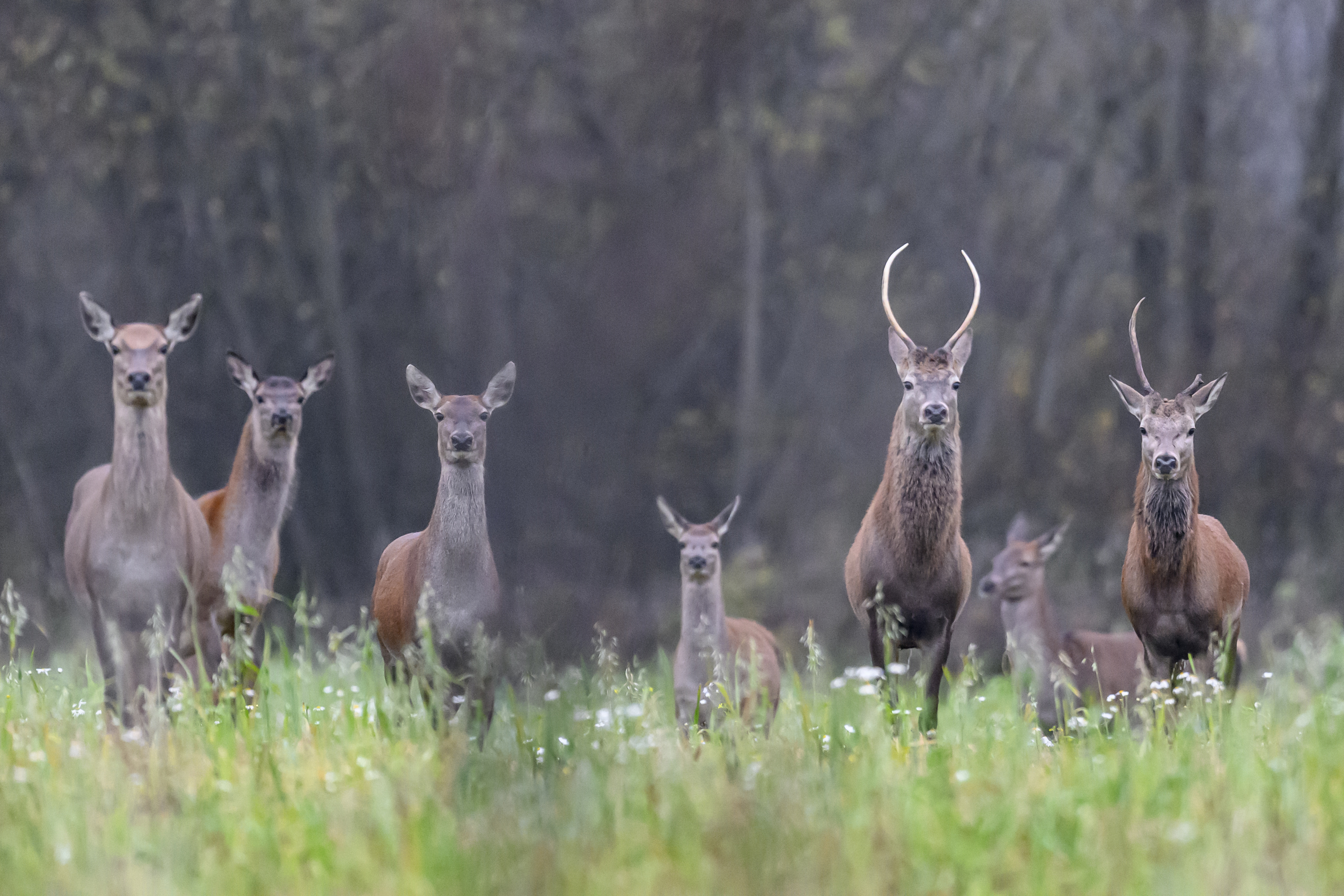 , Пупонин Сергей