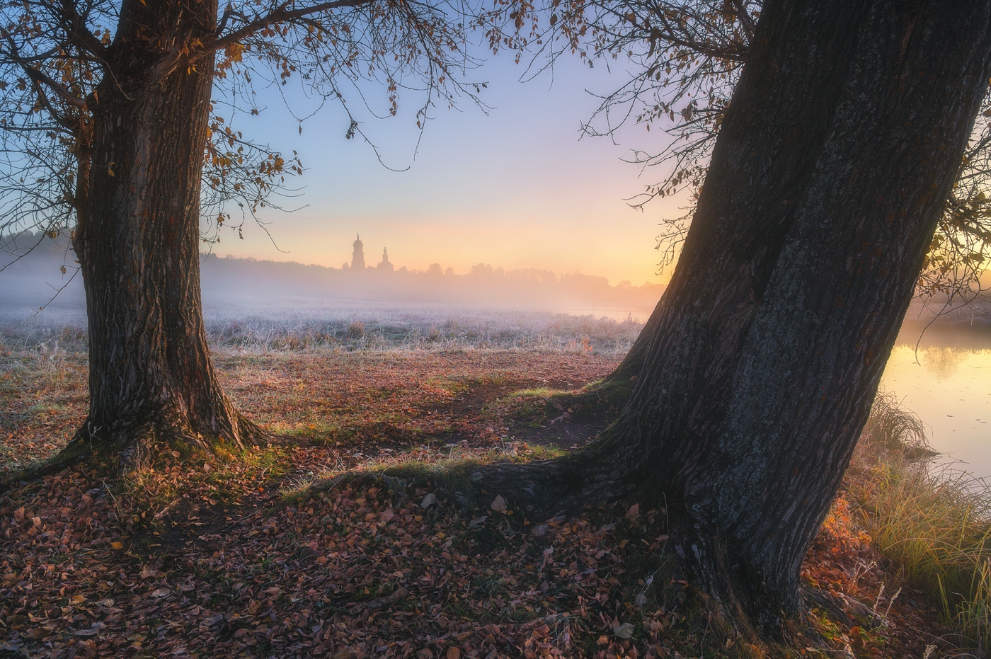 , Михаил Устюжанин