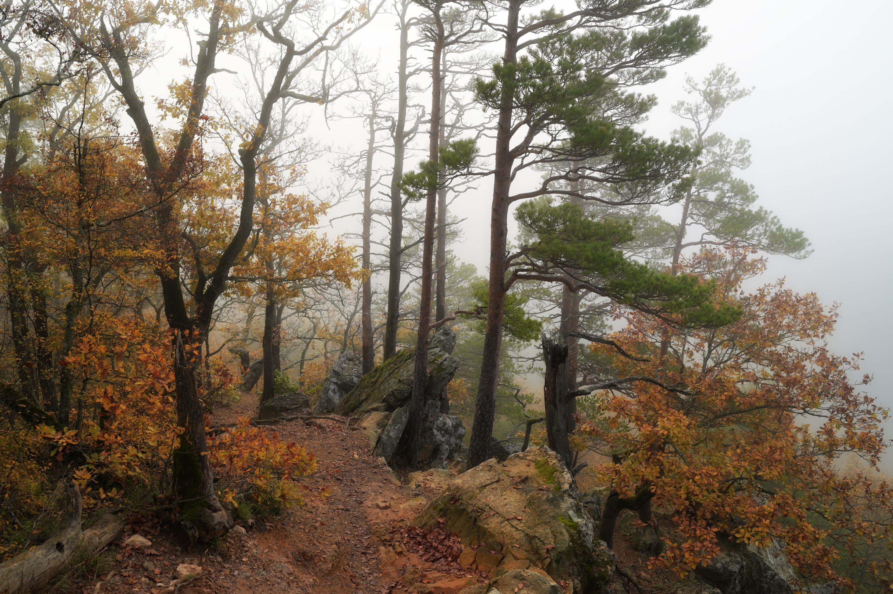 , Сергей Тихомиров