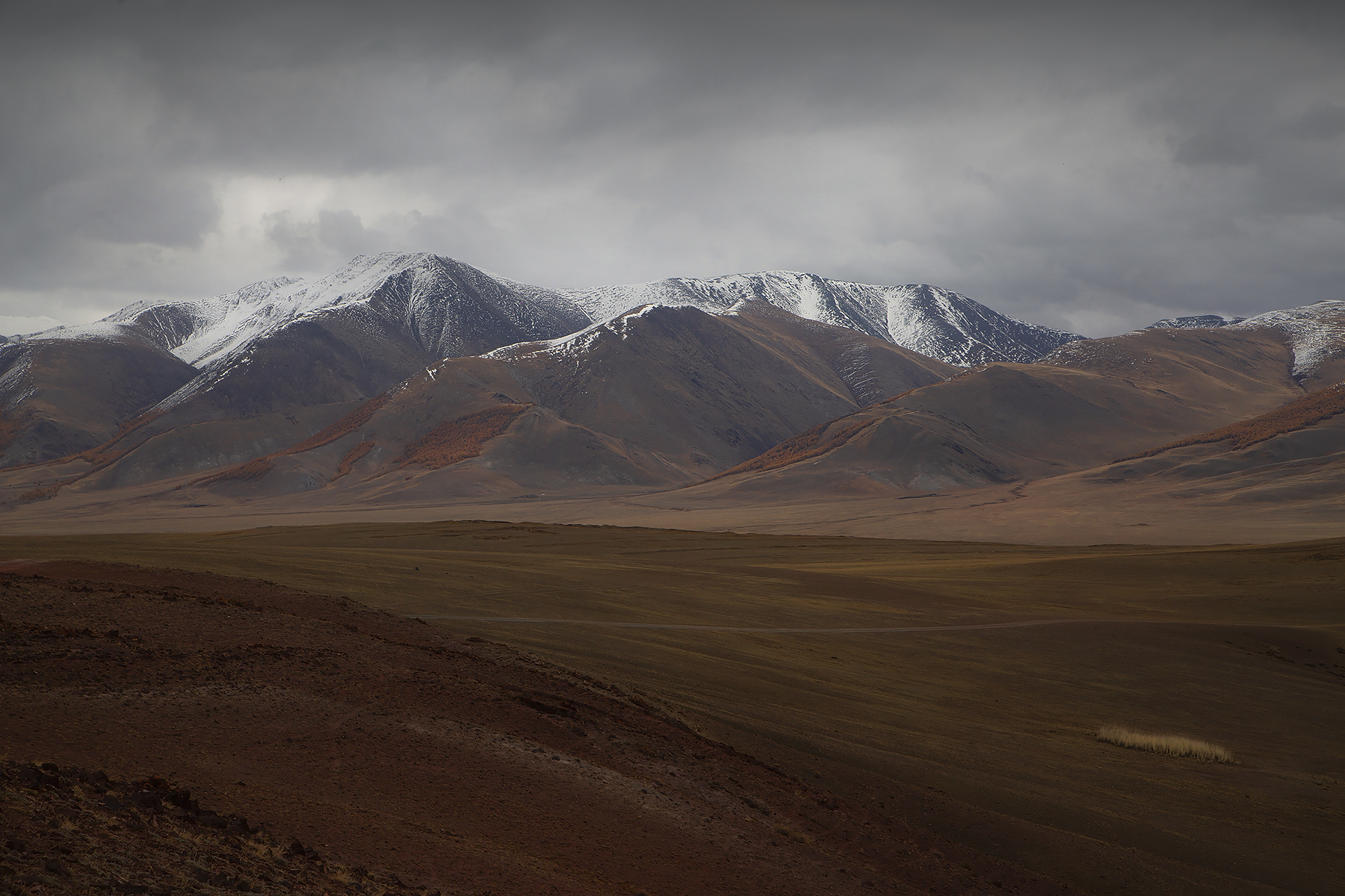 , Евгений Зинов