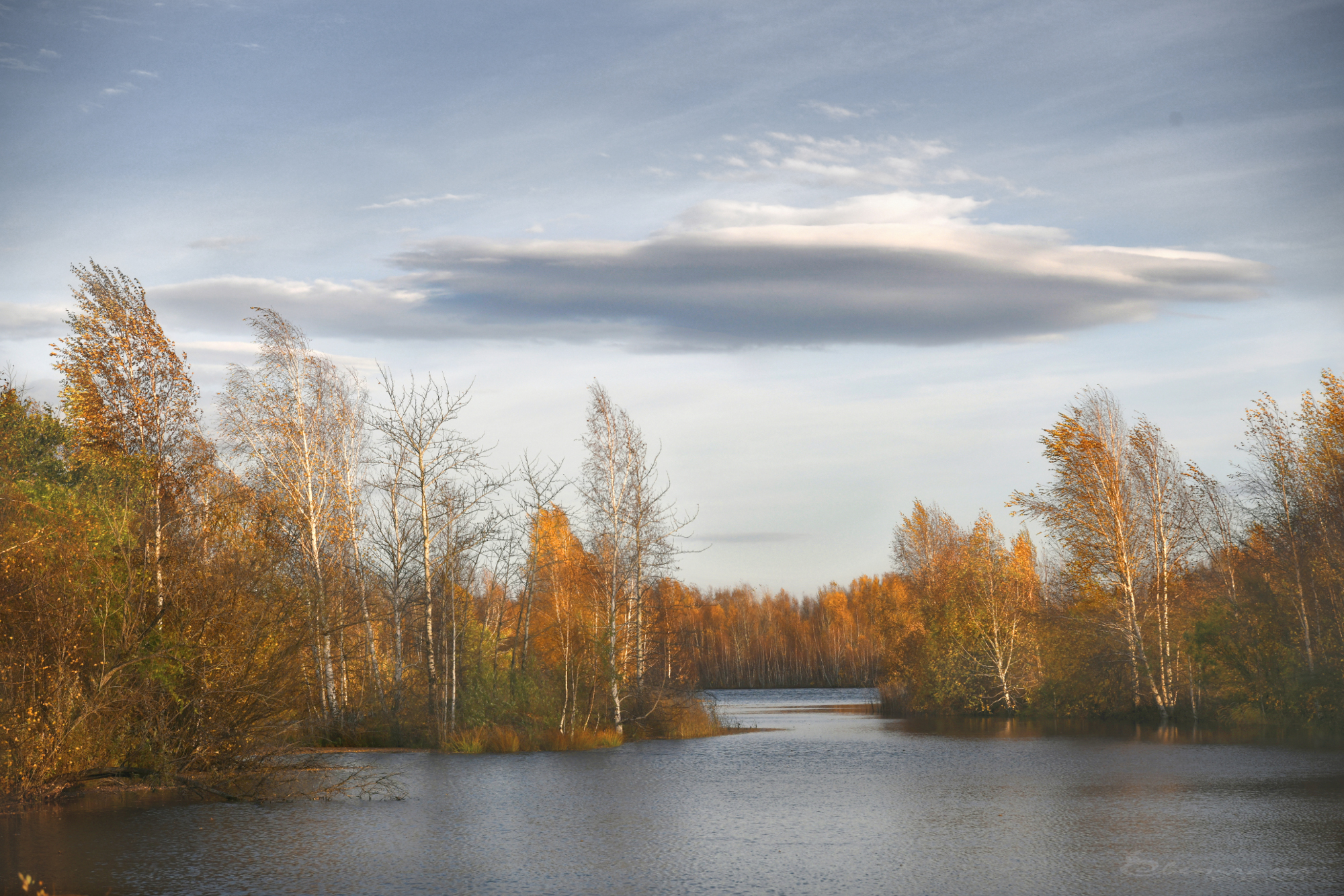 , Крат Светлана