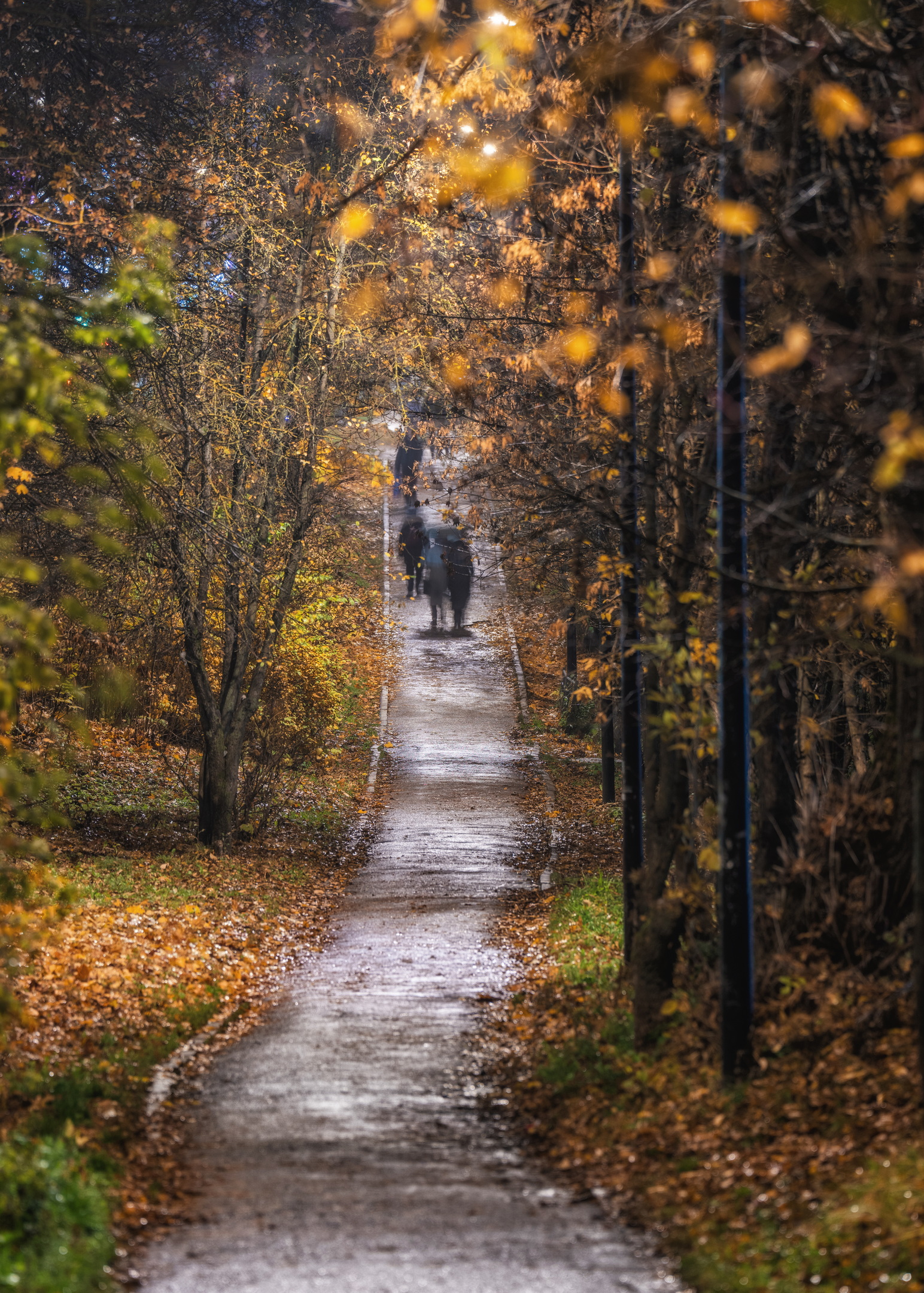 , Дэм Константин