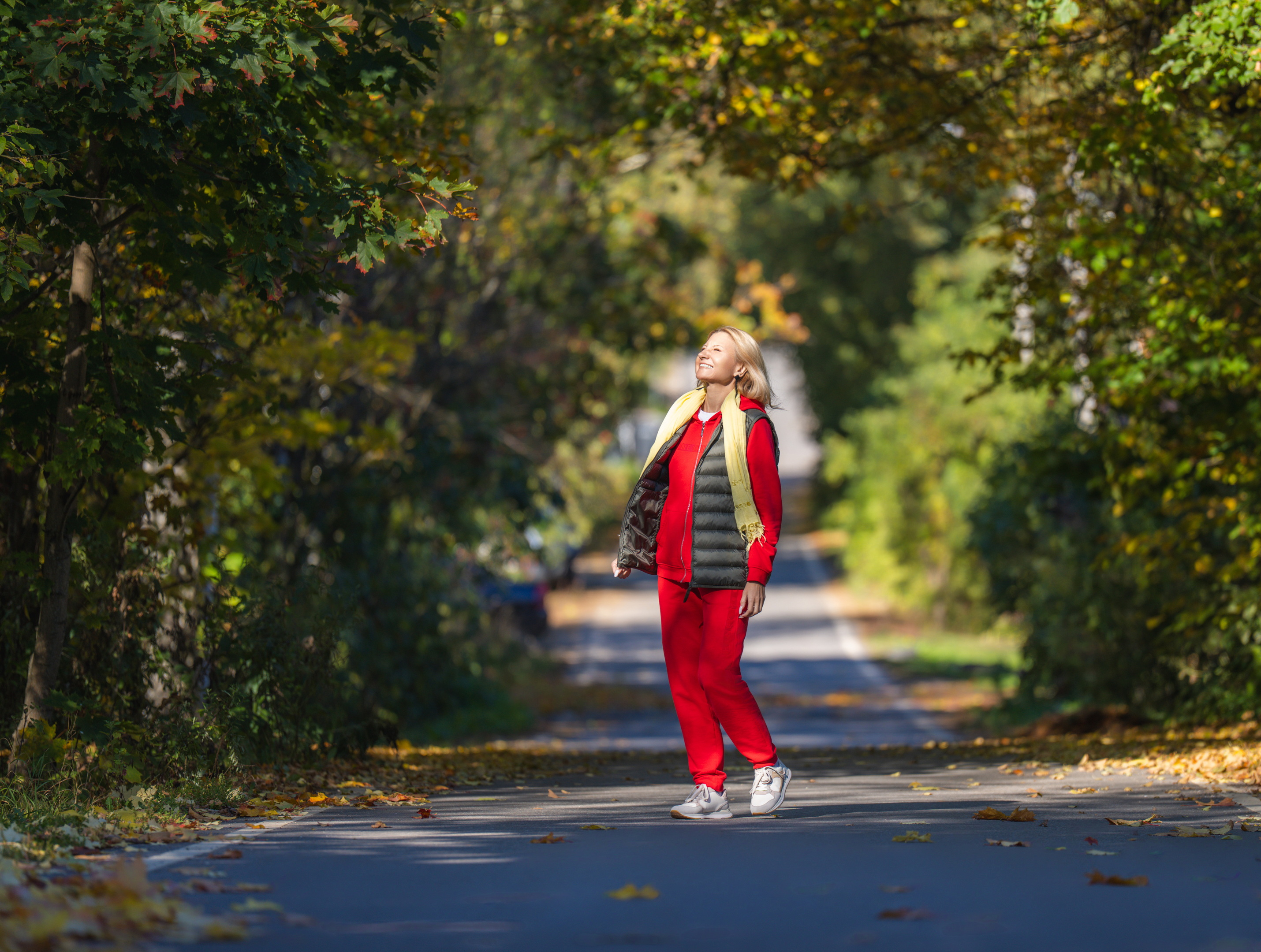 , Дэм Константин