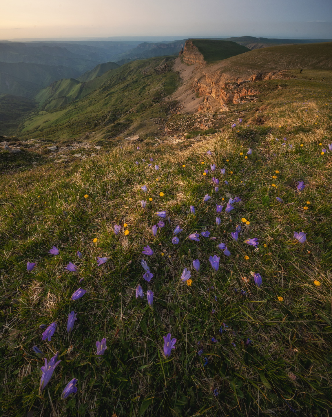 , Дэм Константин