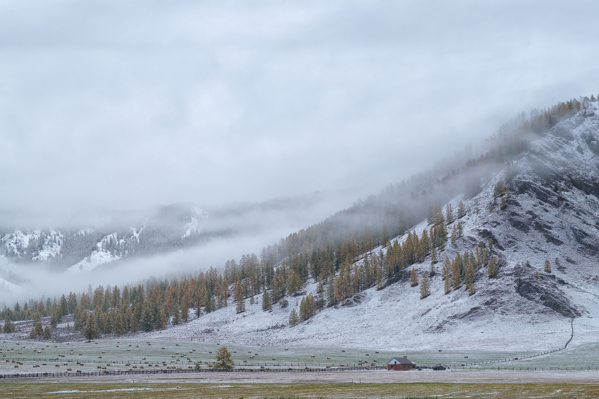 , Бодрягин Виталий