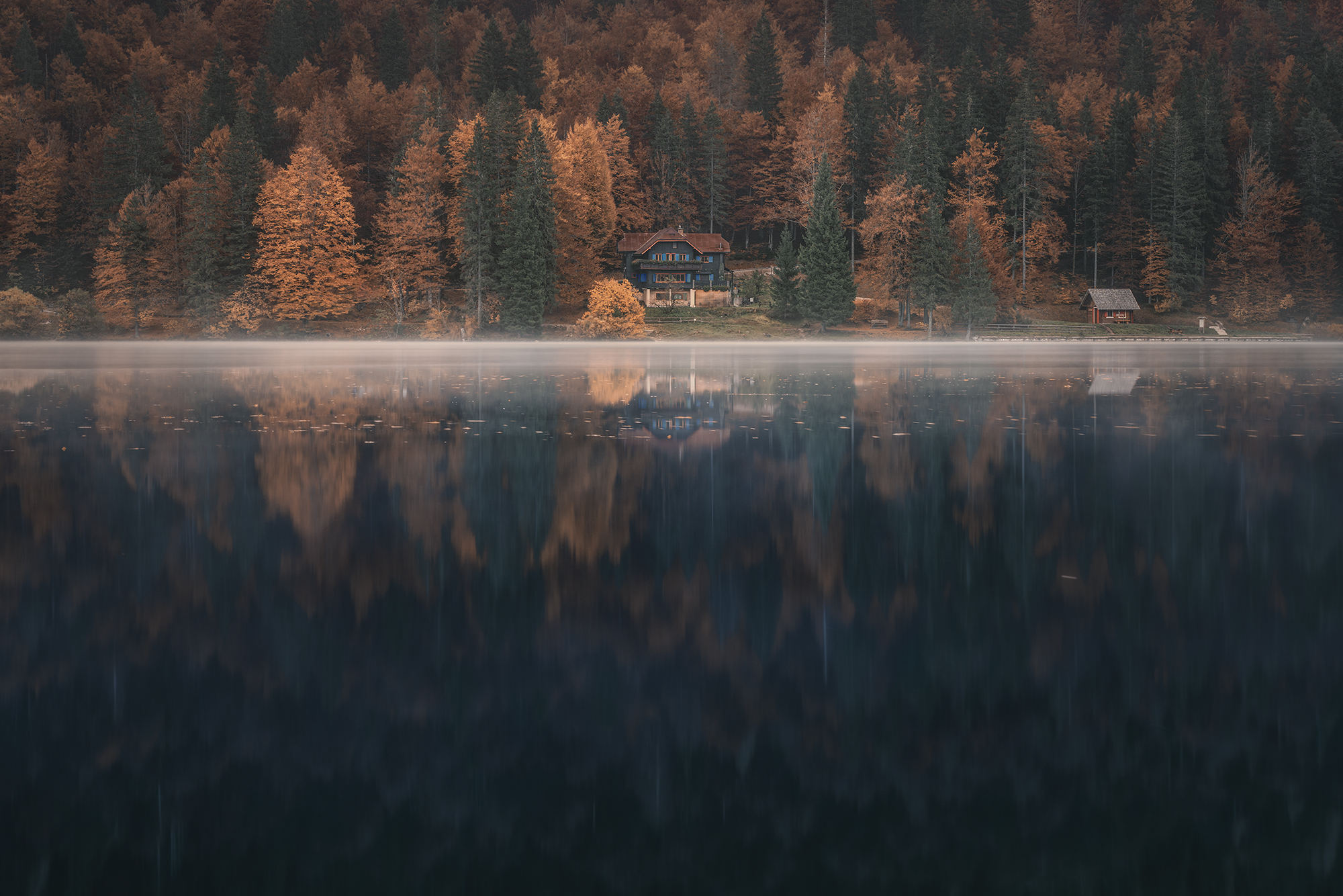 , de Franzoni Thomas