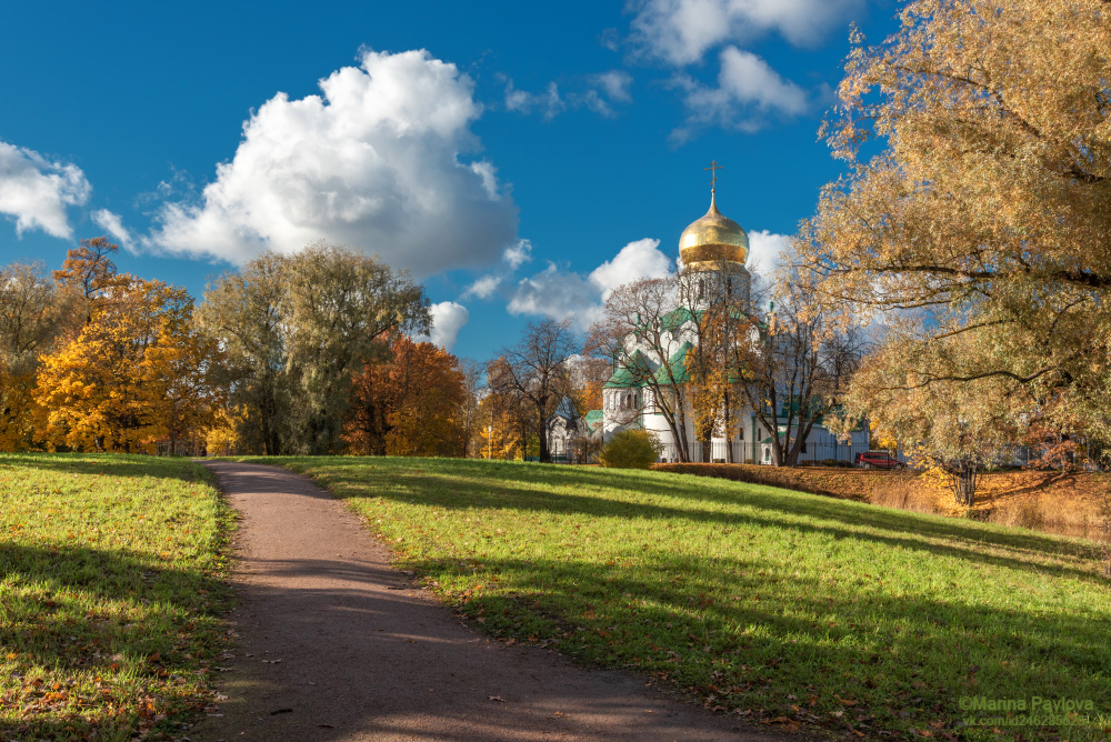 город, архитектура, город пушкин, осенний пейзаж, природа, царское село,  фермский парк,  собор феодоровской иконы божией матери,  храм, золотая осень, пригороды петербурга, Павлова Марина