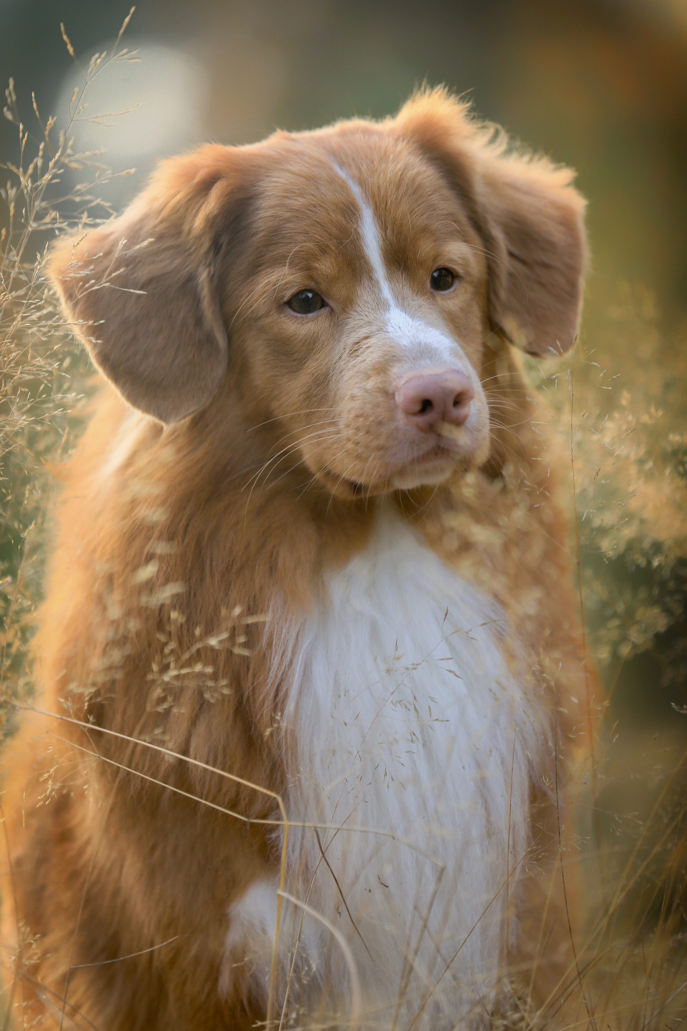 , Андрей Ершов