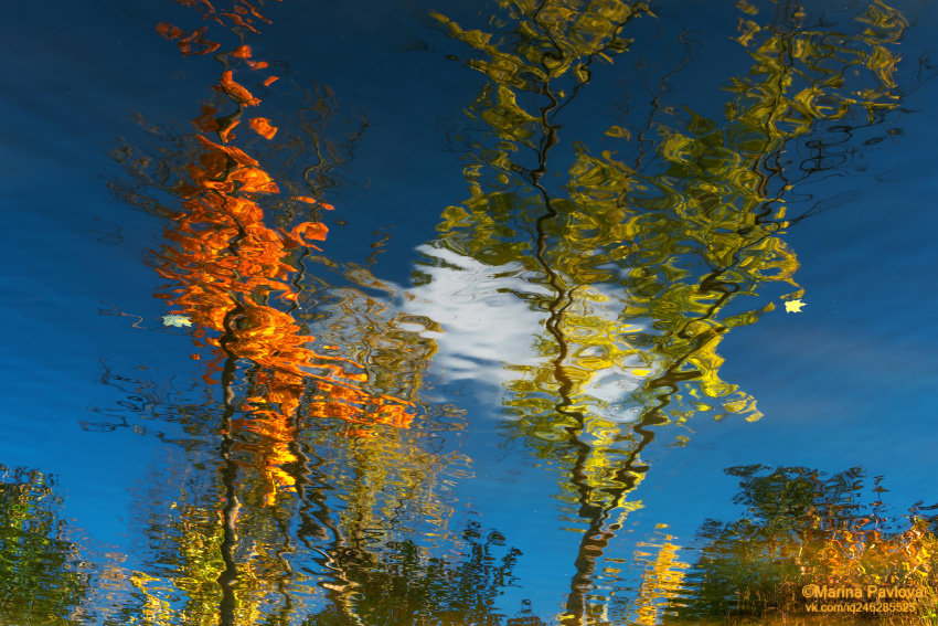 абстракция, акваабстракция, акваграфика, отражение на воде, осенние отражения, шапельный пруд, александровский парк, город пушкин, Павлова Марина