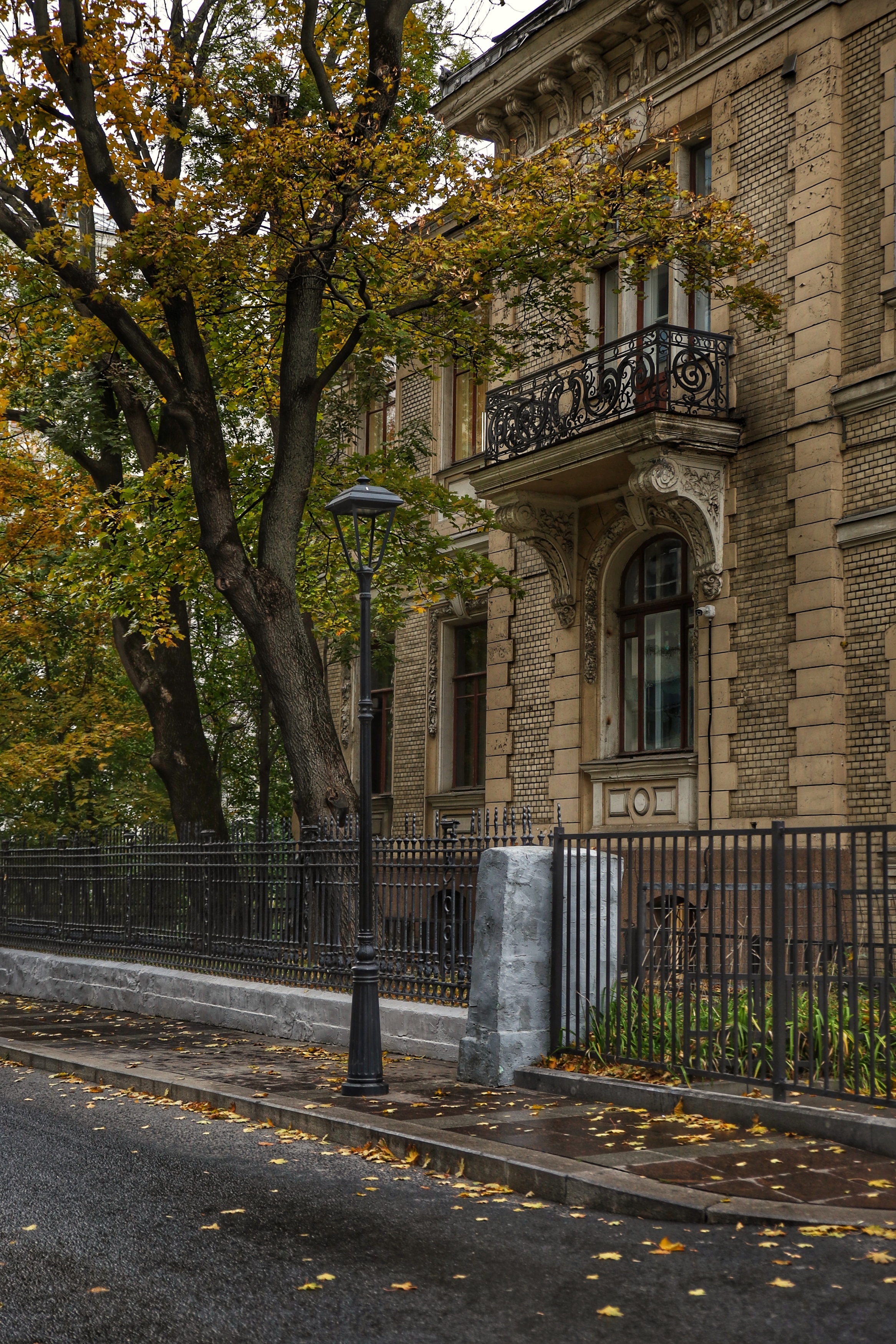 , Angelica Medvedeva