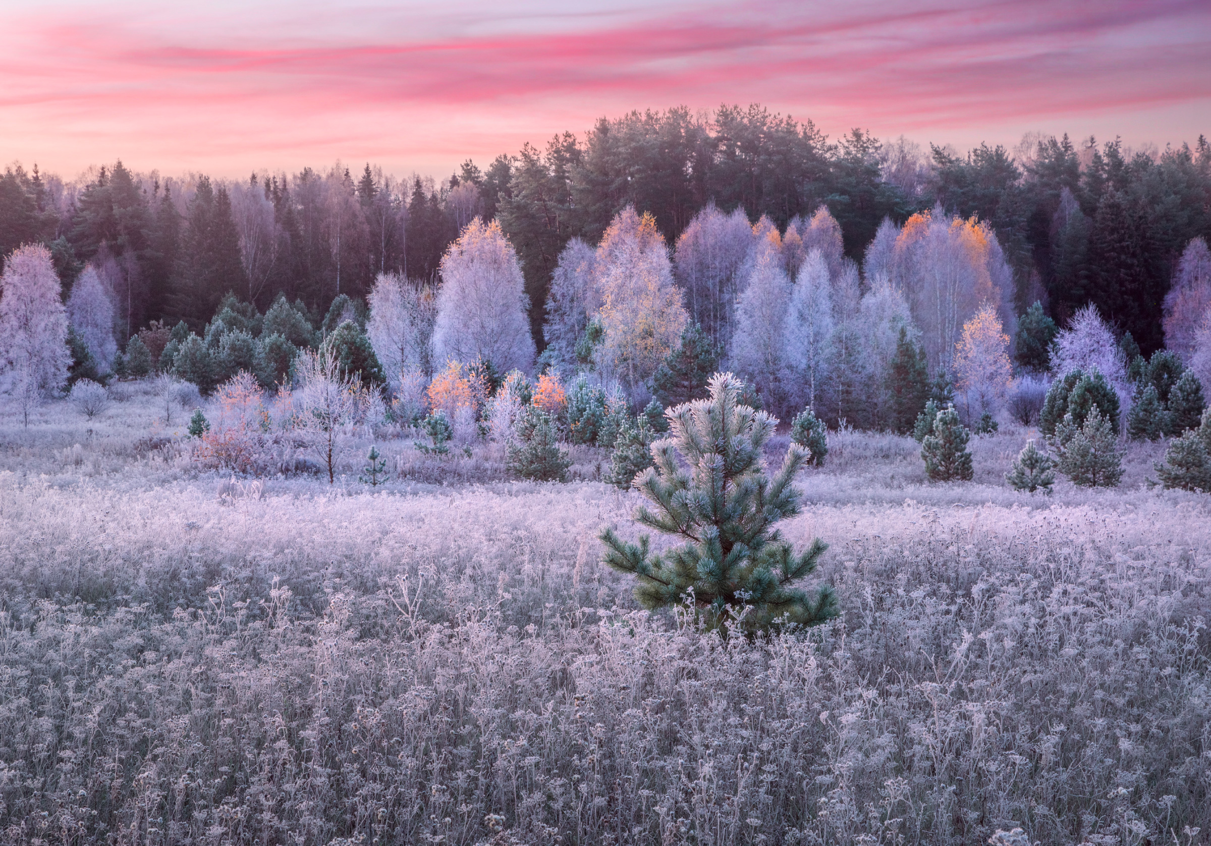 Фототуры с Владимиром Рябковым, #topnature #russpasibo #magic_shots #lovelyRussia #sunset_vision #exclusive_sky  #exclusive_shots #loves_russia2 #photoarena_nature #nature_sultans #nature_perfection #rsa_sky #rsa_sunset #photorussia #rsa_naturepics #sunse, Владимир Рябков