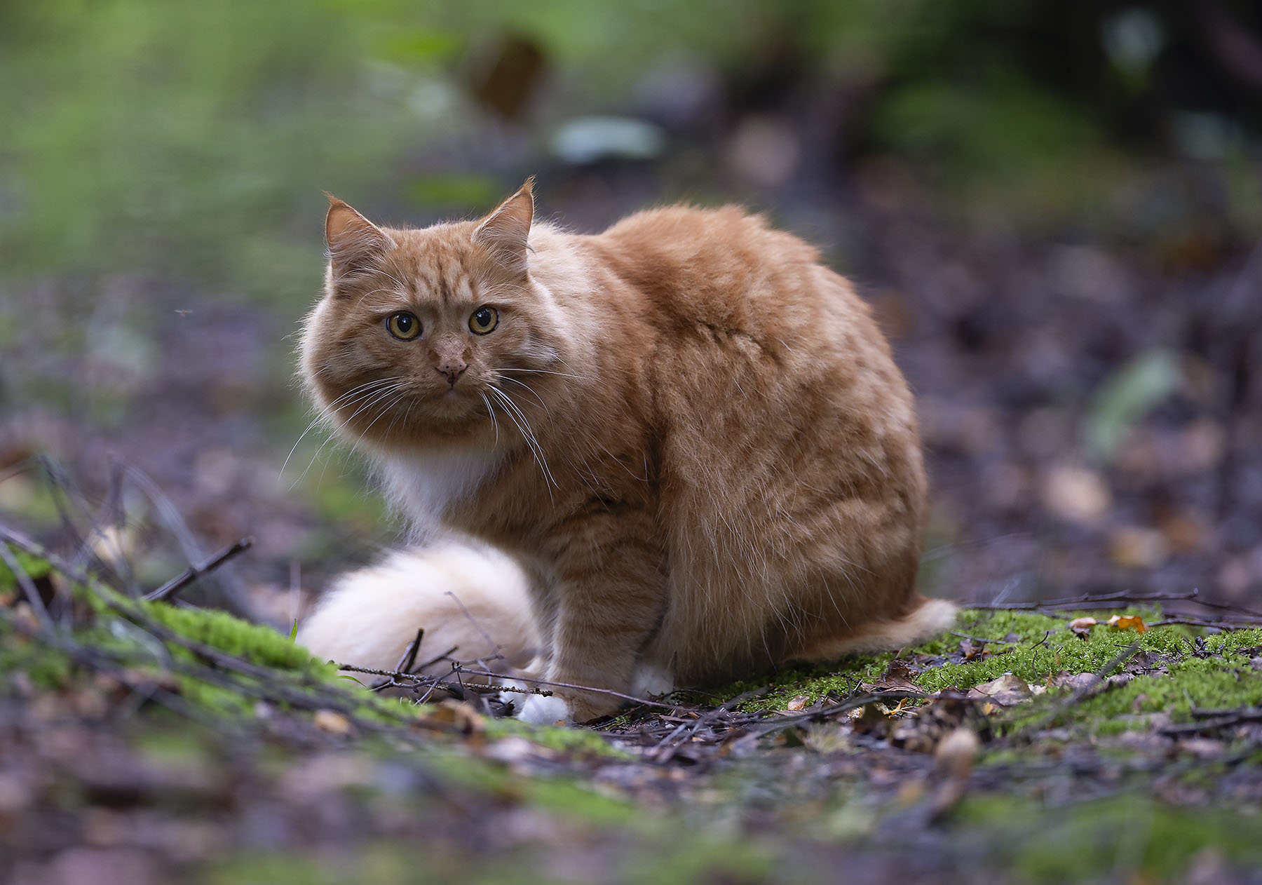 , Стукалова Юлия