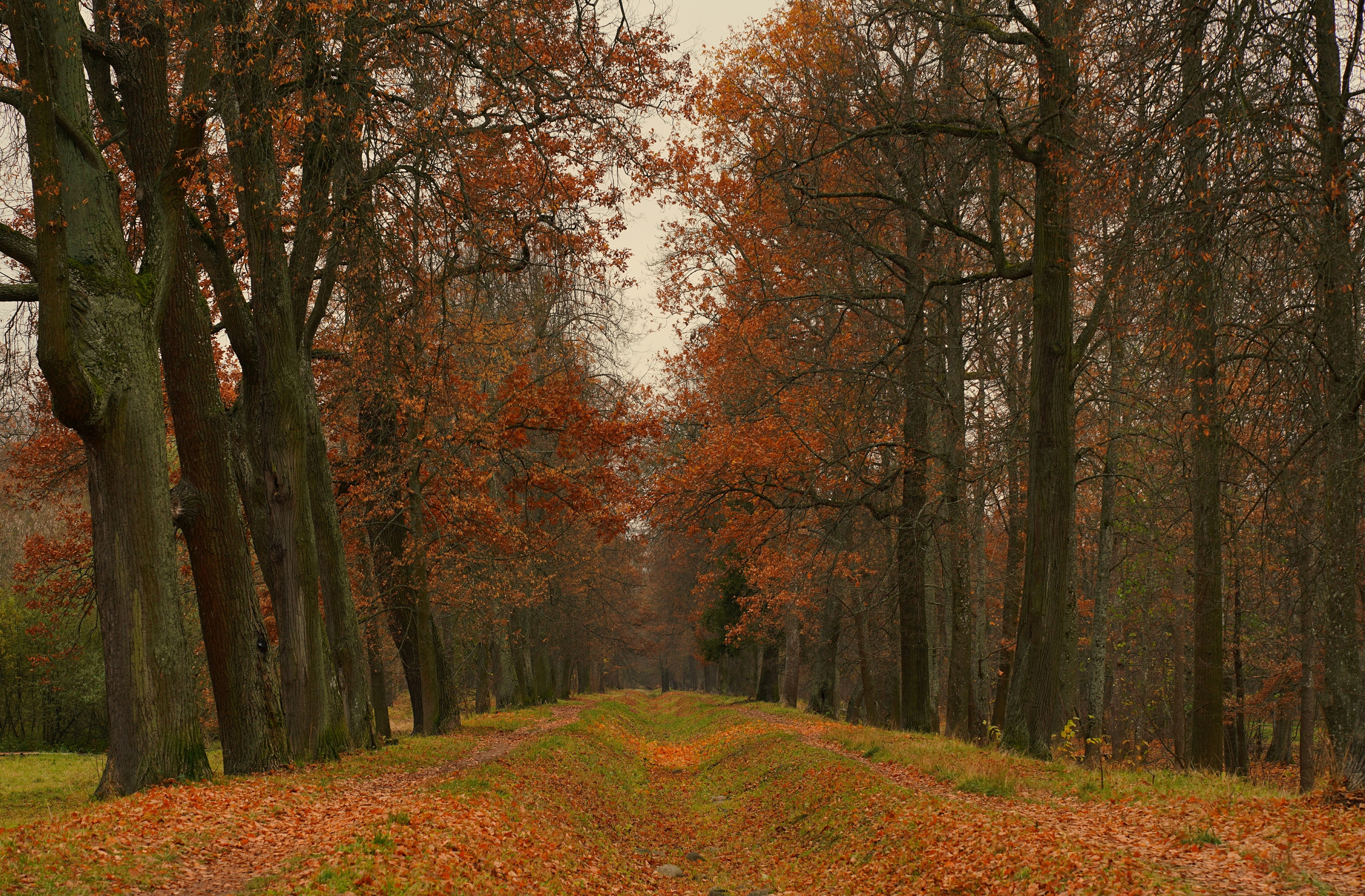 ,  Сергей Андреевич