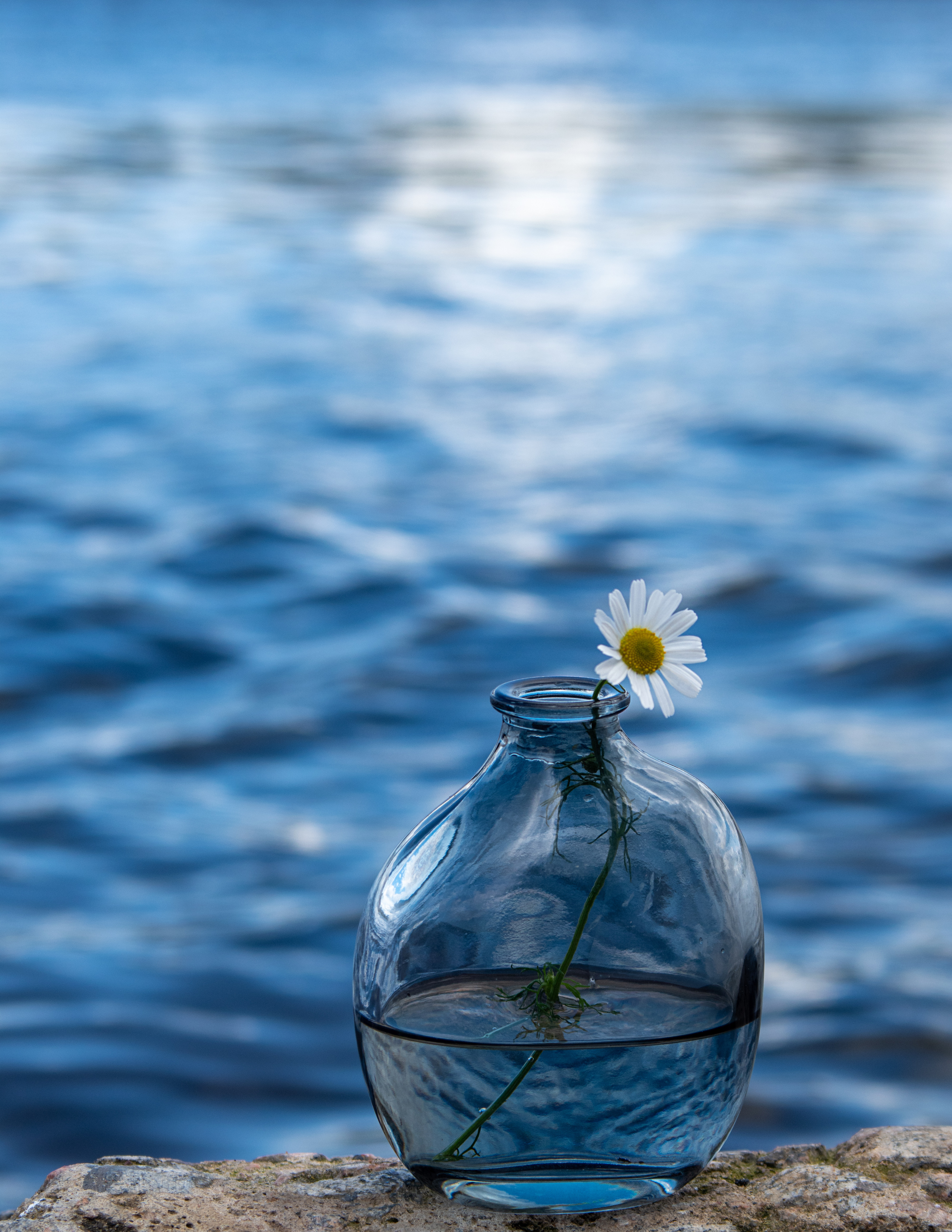 , Оксана Макарова