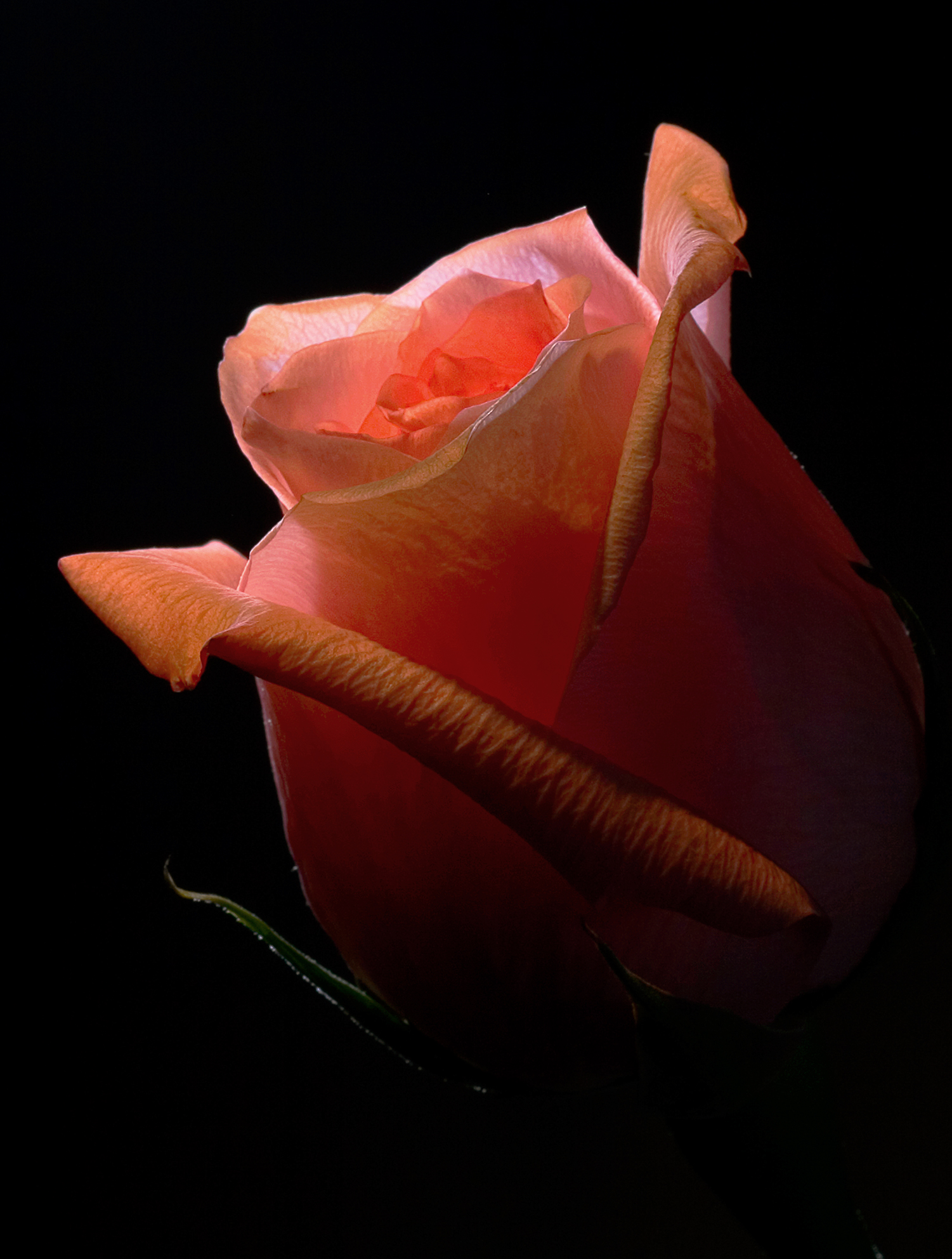 , Андрей Петросян